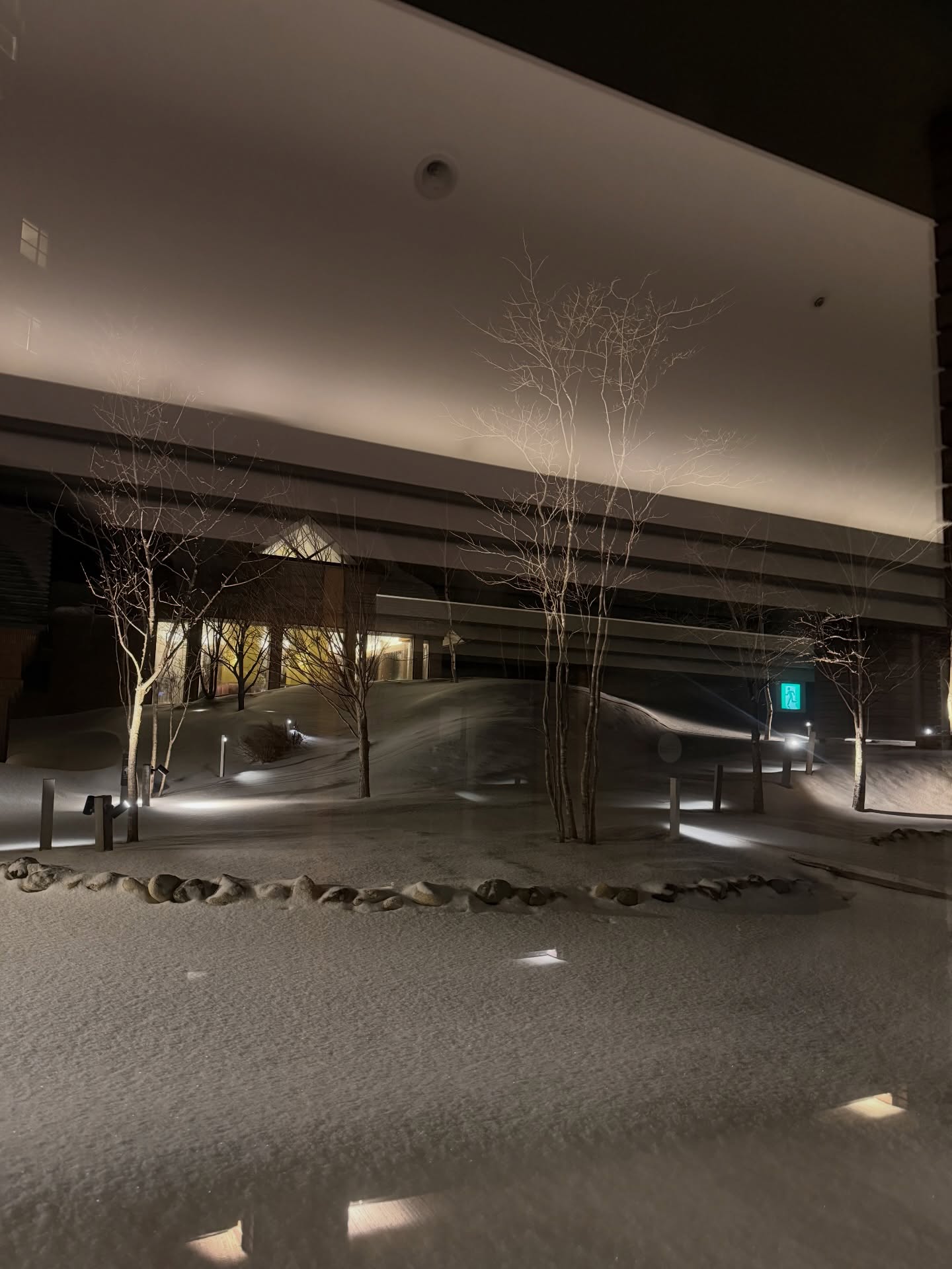 มาสุ จรรยางค์ดีกุล