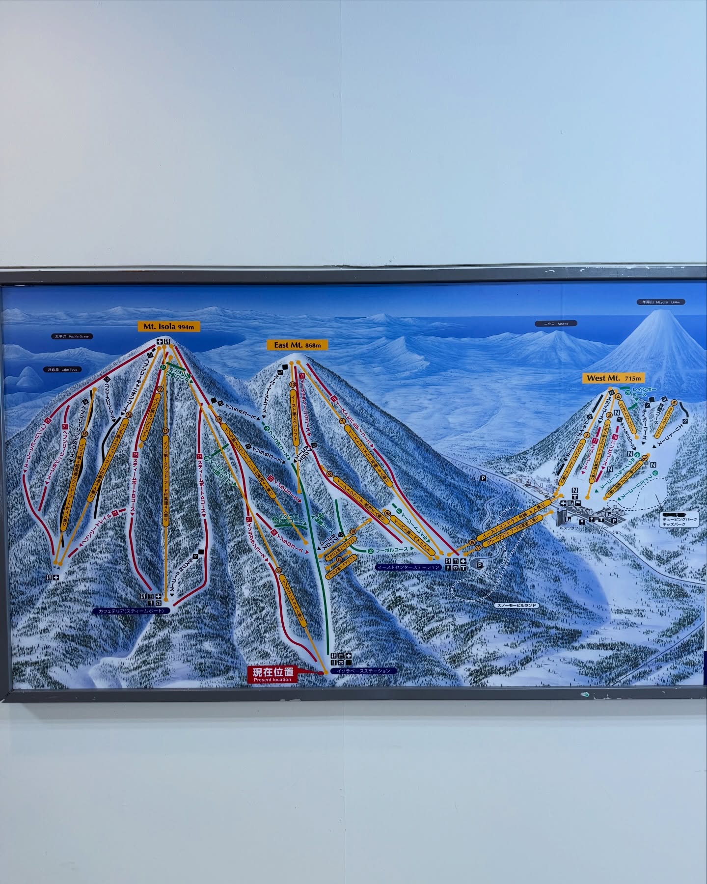 มาสุ จรรยางค์ดีกุล