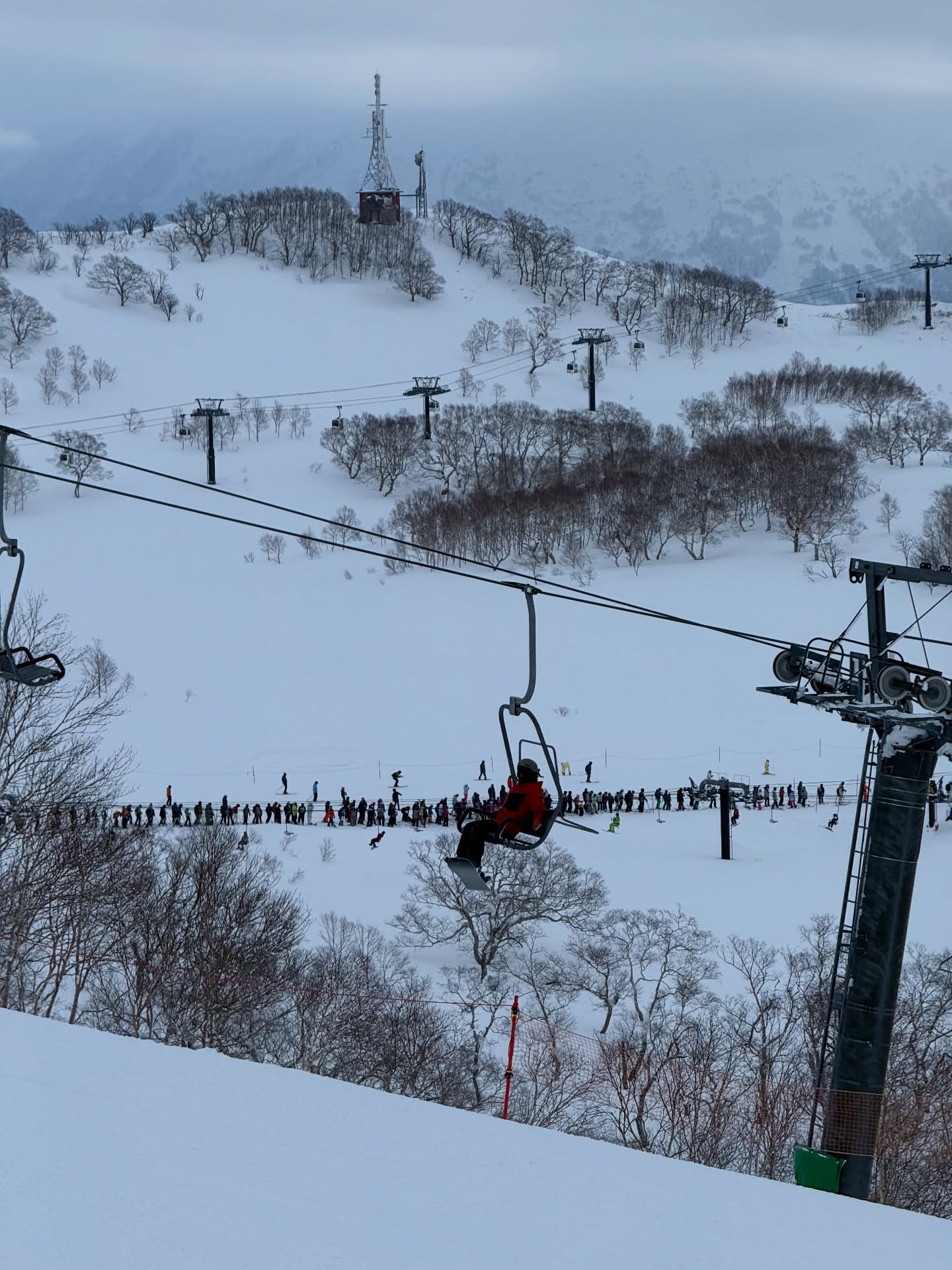 มาสุ จรรยางค์ดีกุล