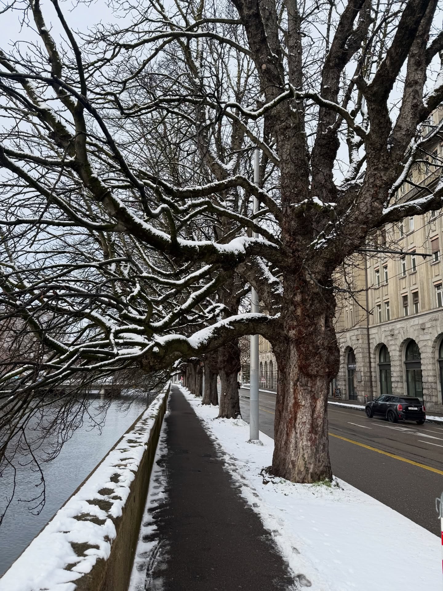 มาสุ จรรยางค์ดีกุล