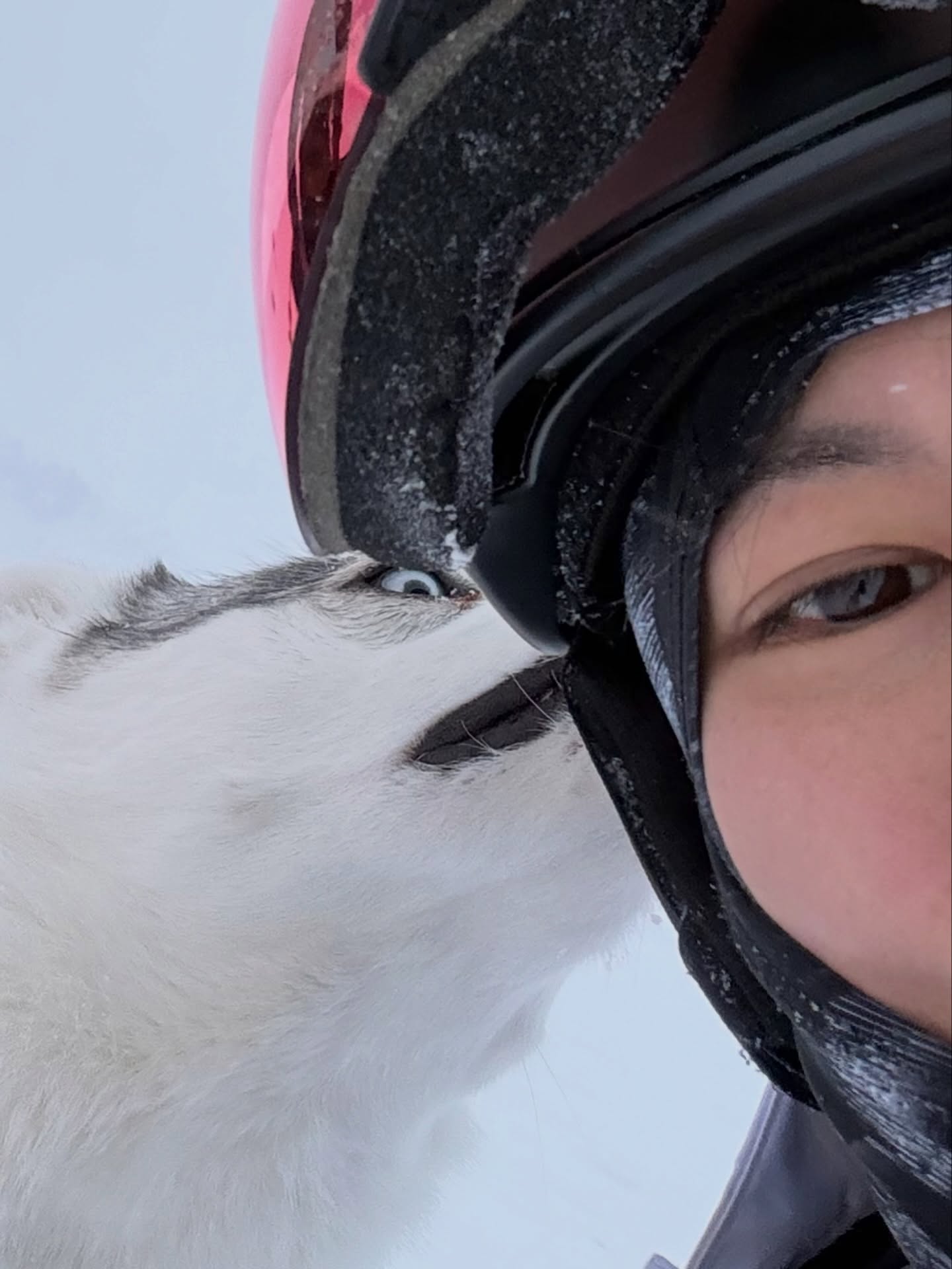 มาสุ จรรยางค์ดีกุล