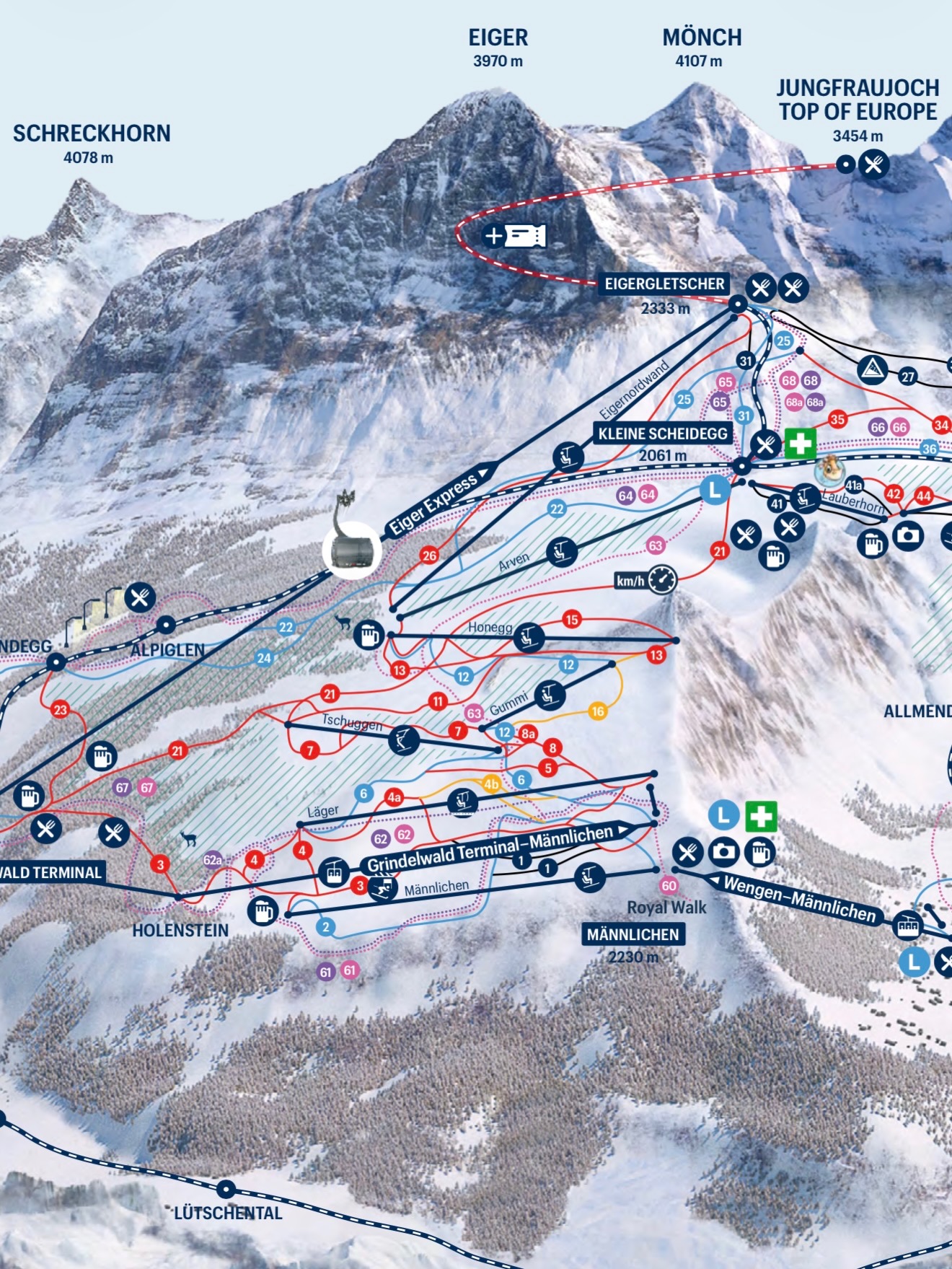 มาสุ จรรยางค์ดีกุล