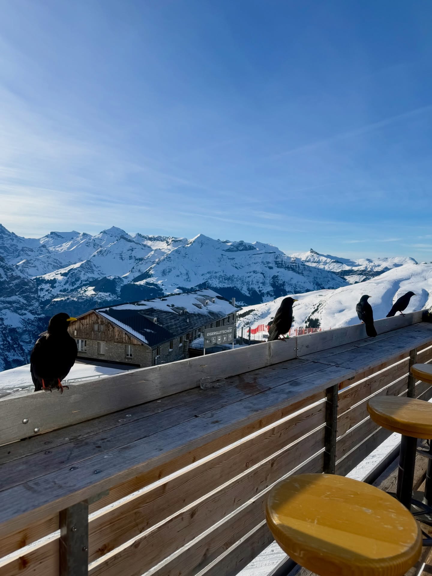 มาสุ จรรยางค์ดีกุล