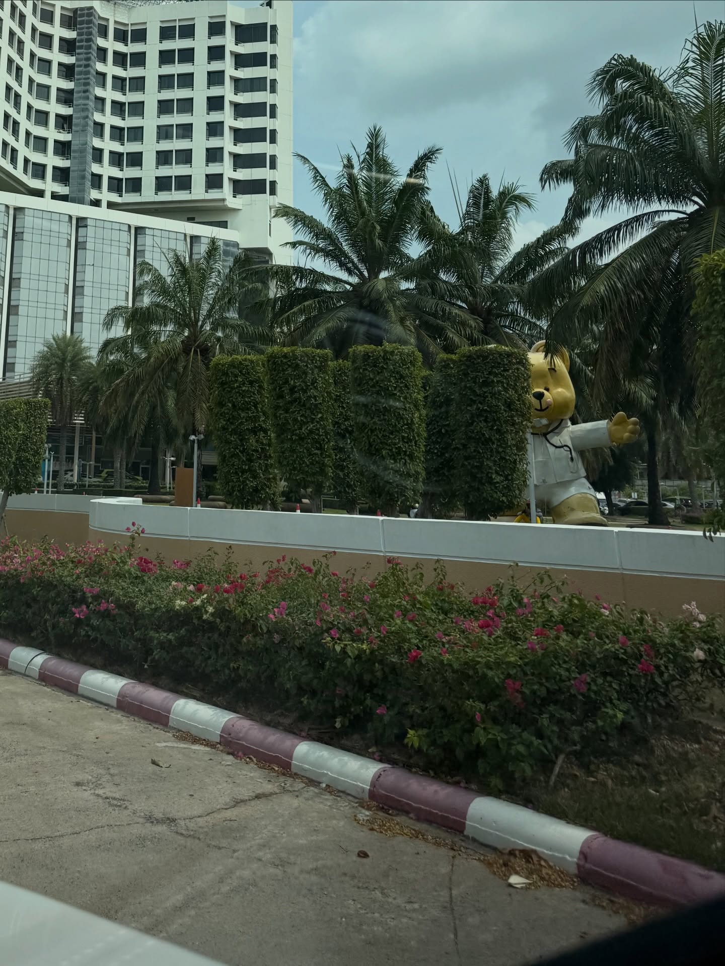 มาสุ จรรยางค์ดีกุล
