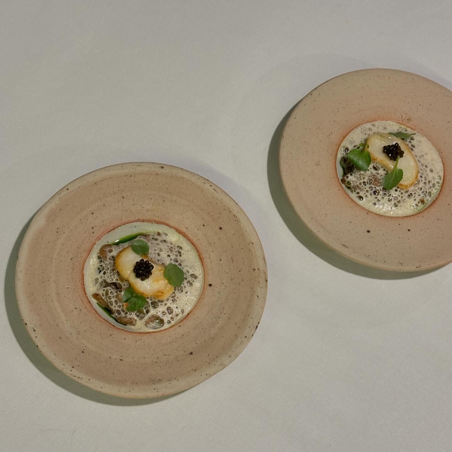 คารีสา สปริงเก็ตต์