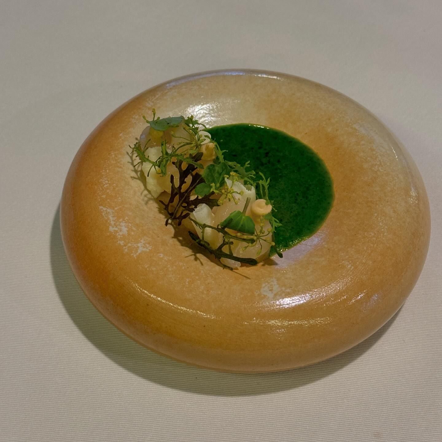 คารีสา สปริงเก็ตต์