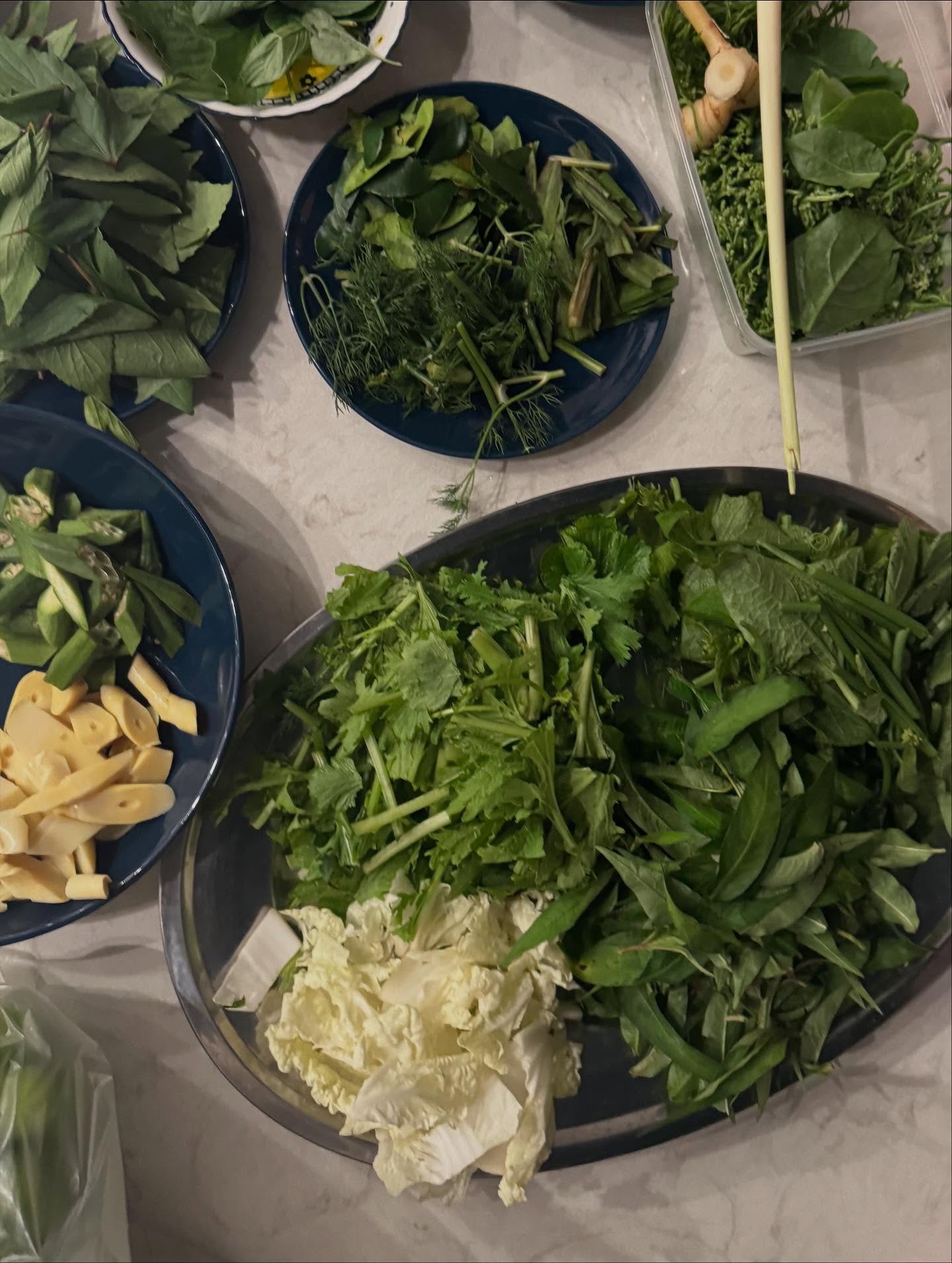 คารีสา สปริงเก็ตต์