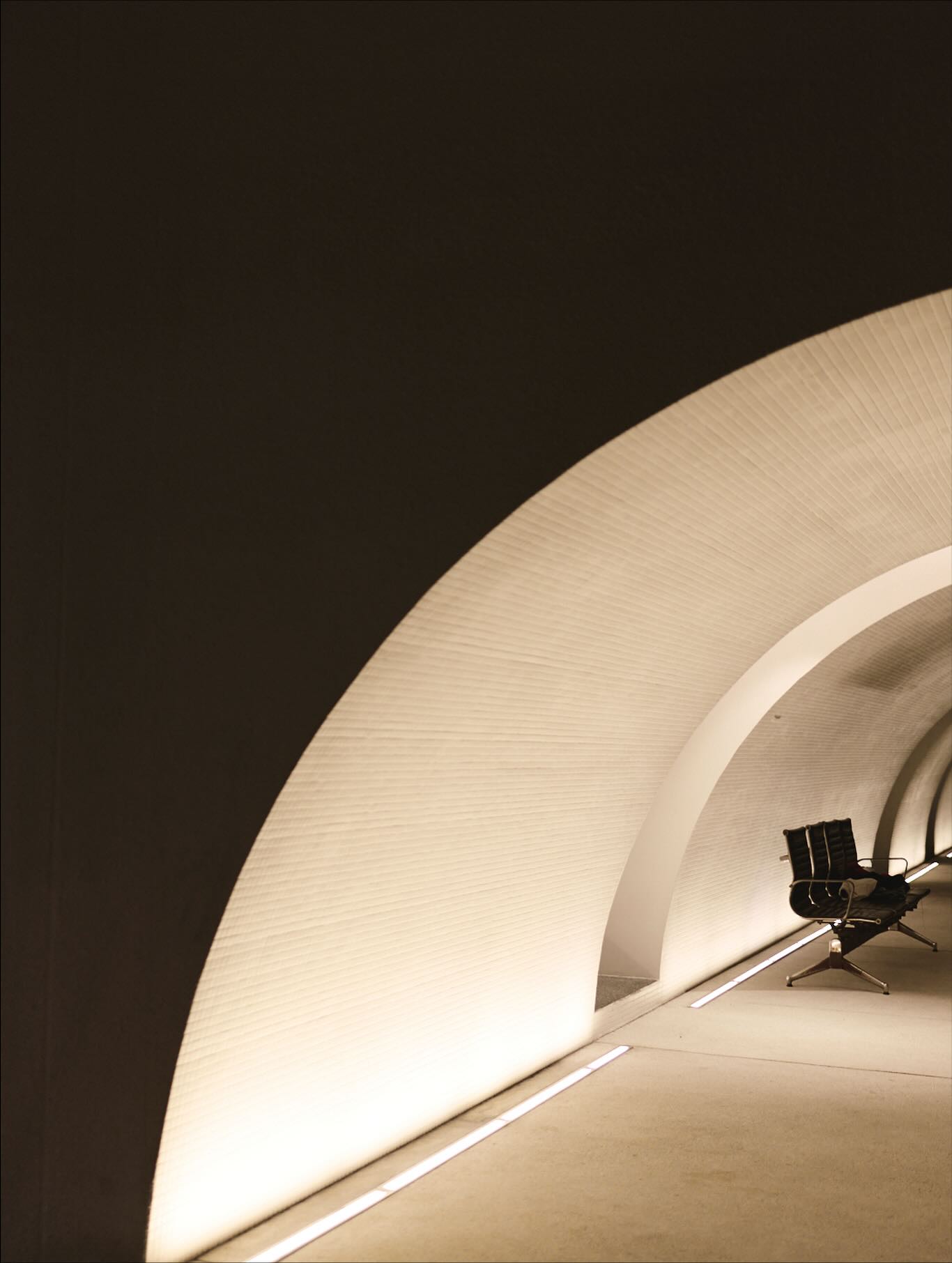 คารีสา สปริงเก็ตต์