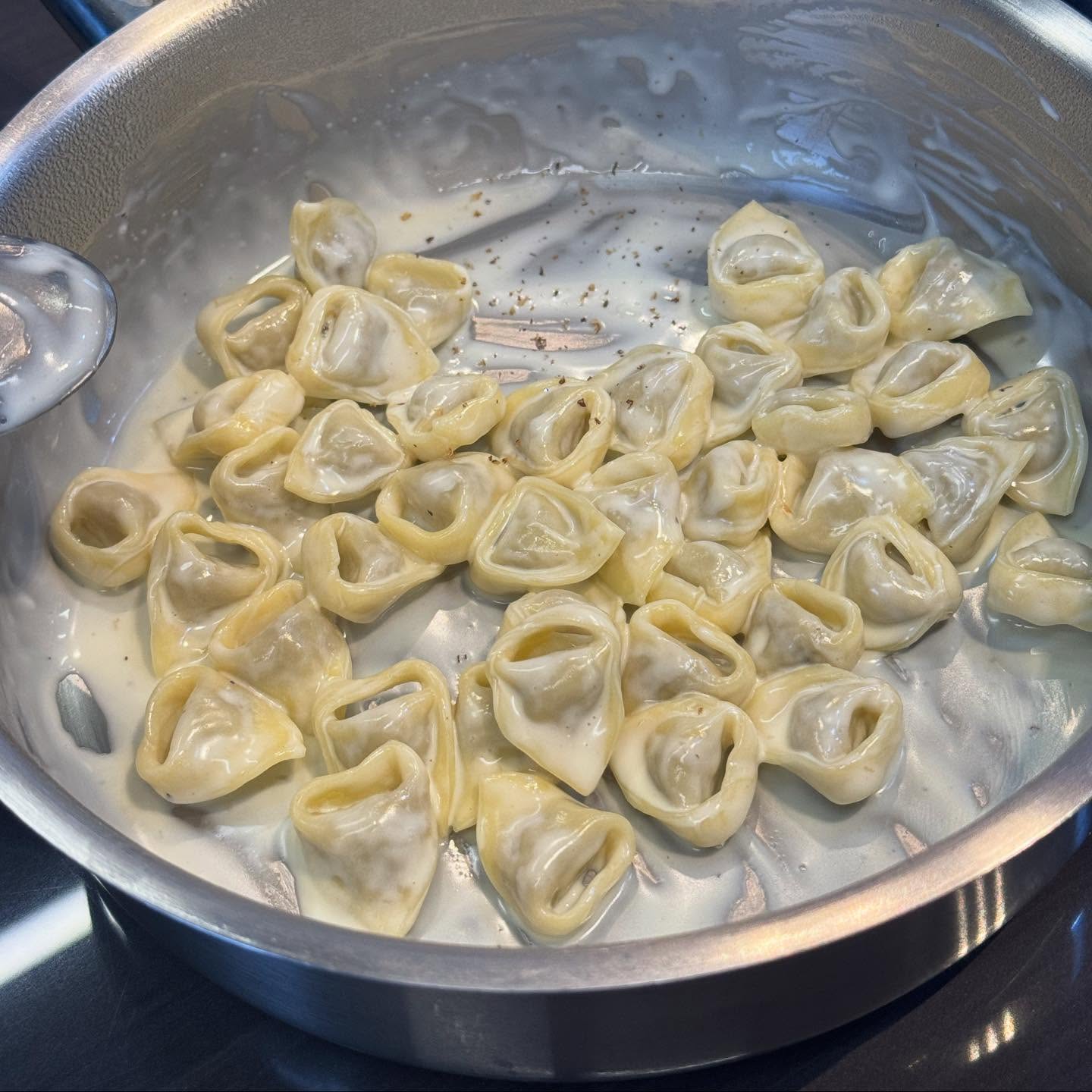 คารีสา สปริงเก็ตต์