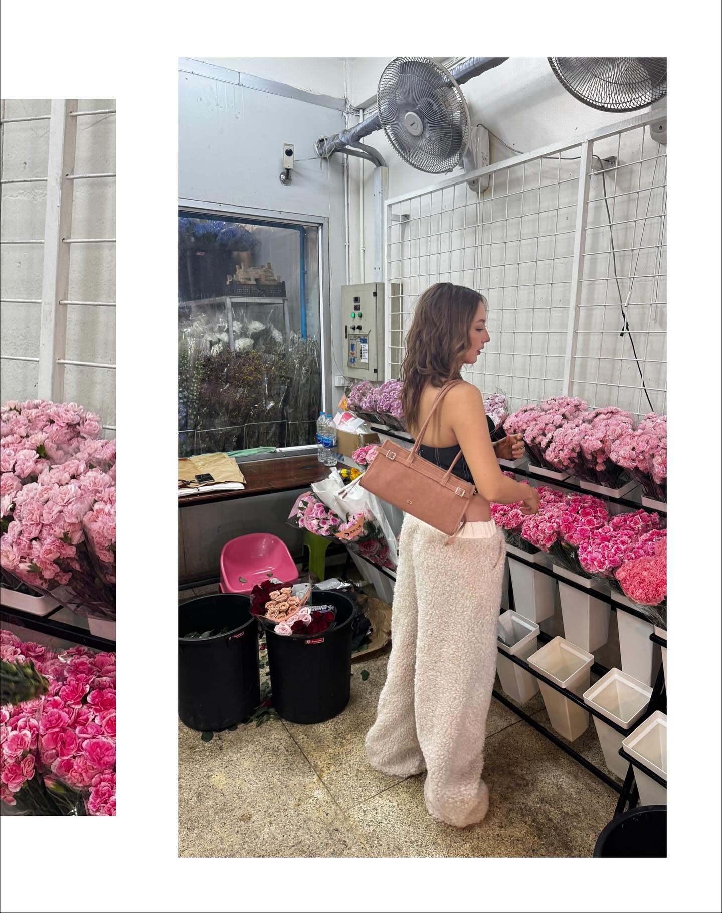 คารีสา สปริงเก็ตต์