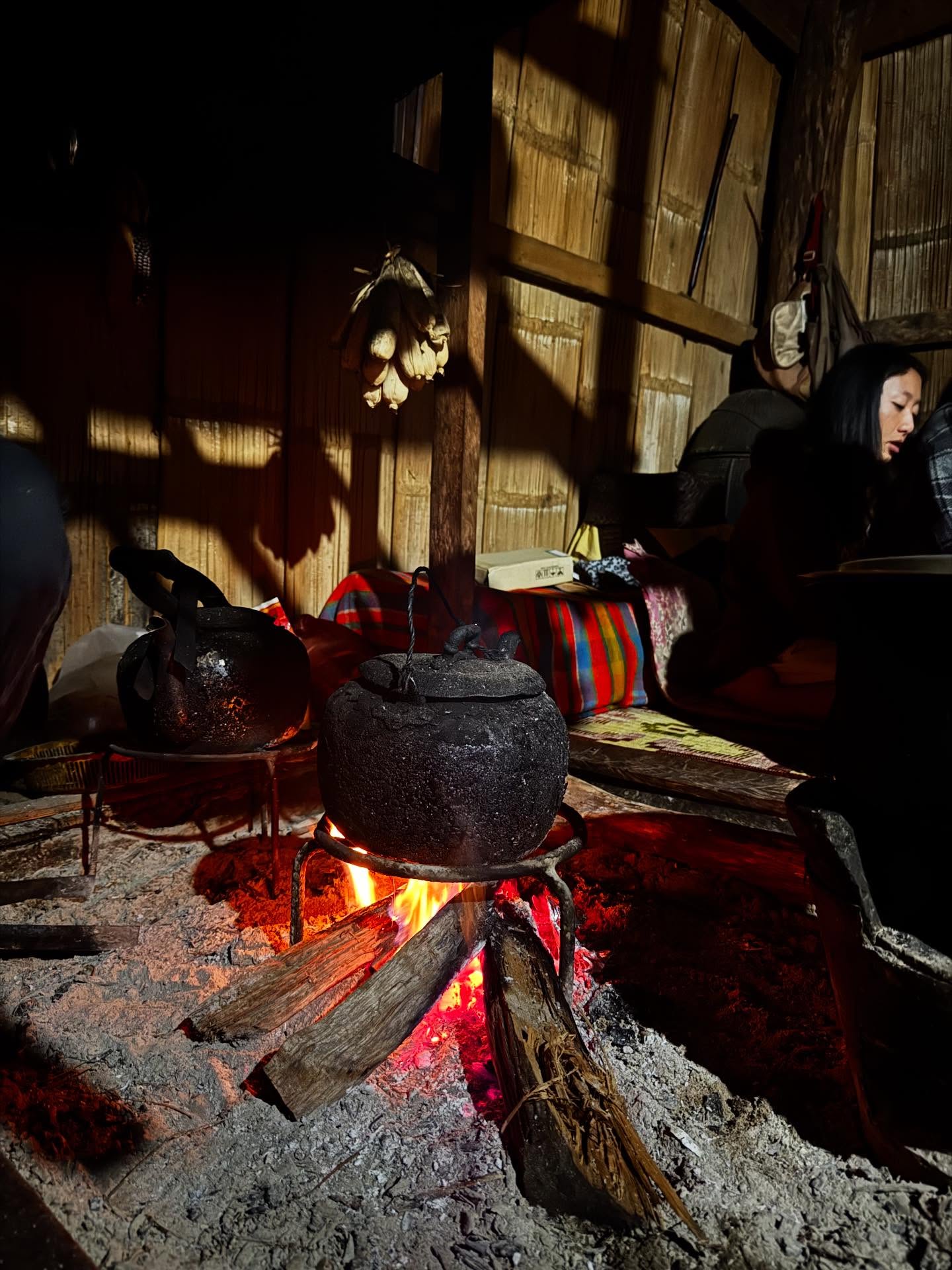 คารีสา สปริงเก็ตต์