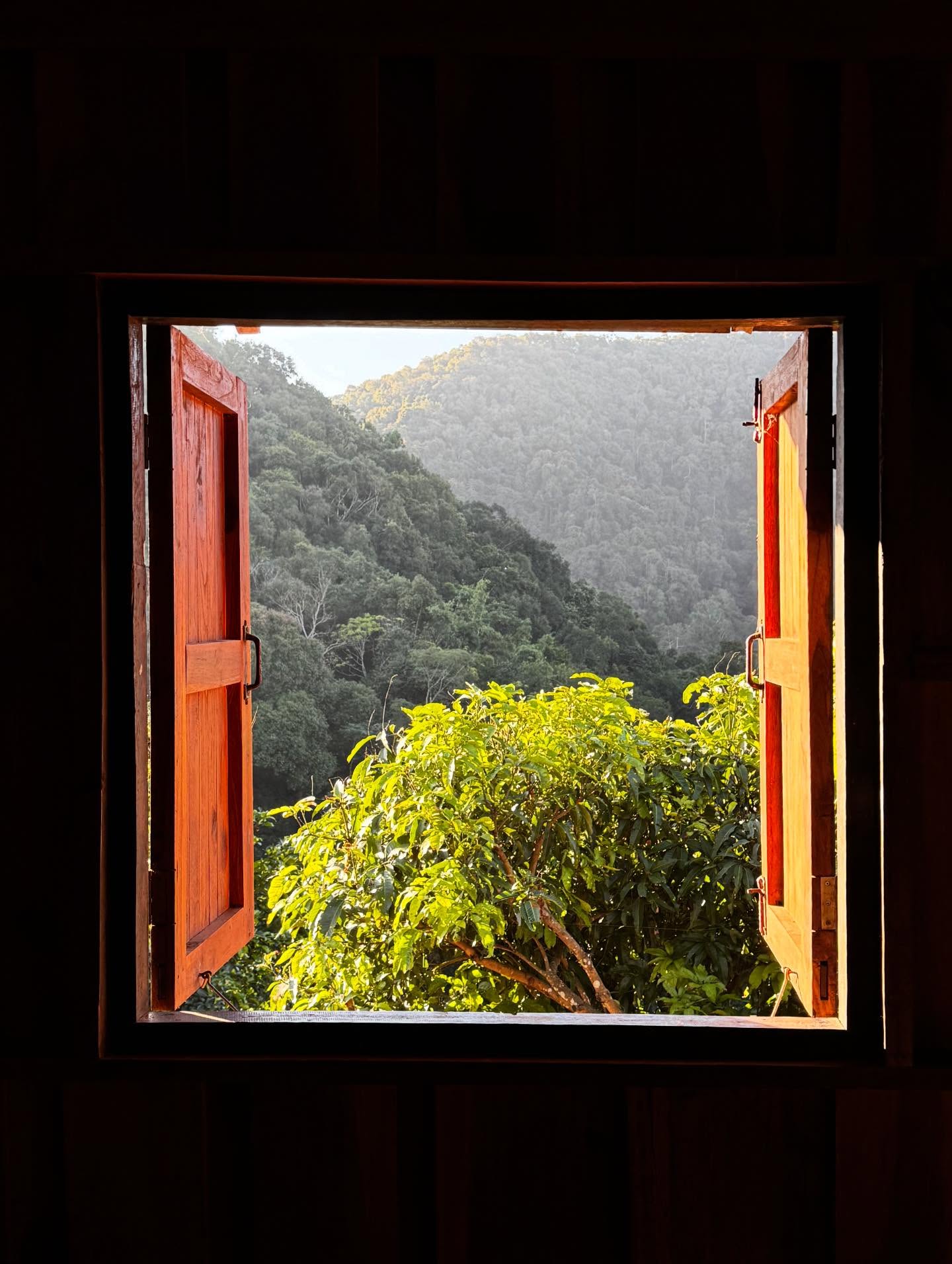 คารีสา สปริงเก็ตต์