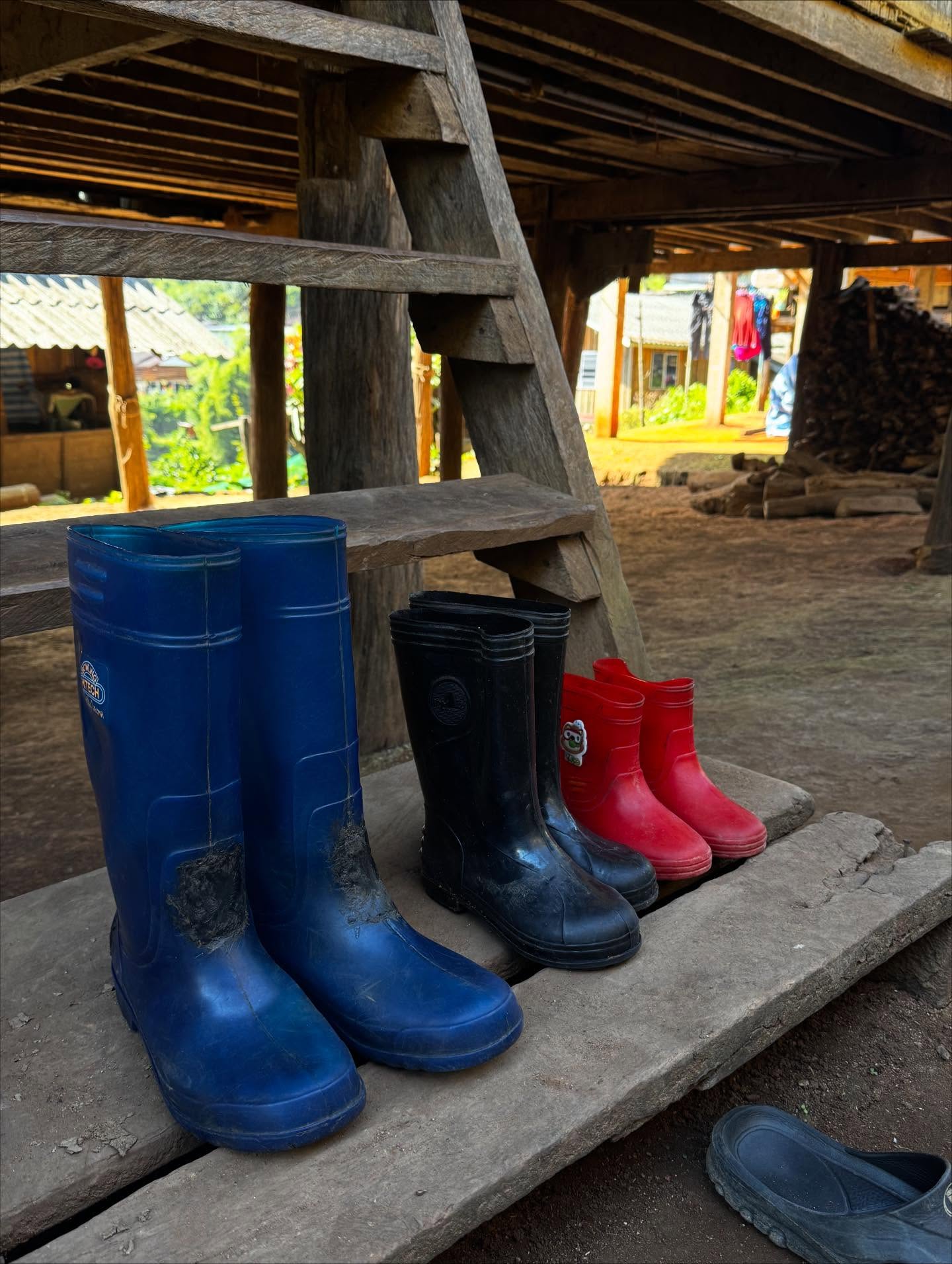 คารีสา สปริงเก็ตต์