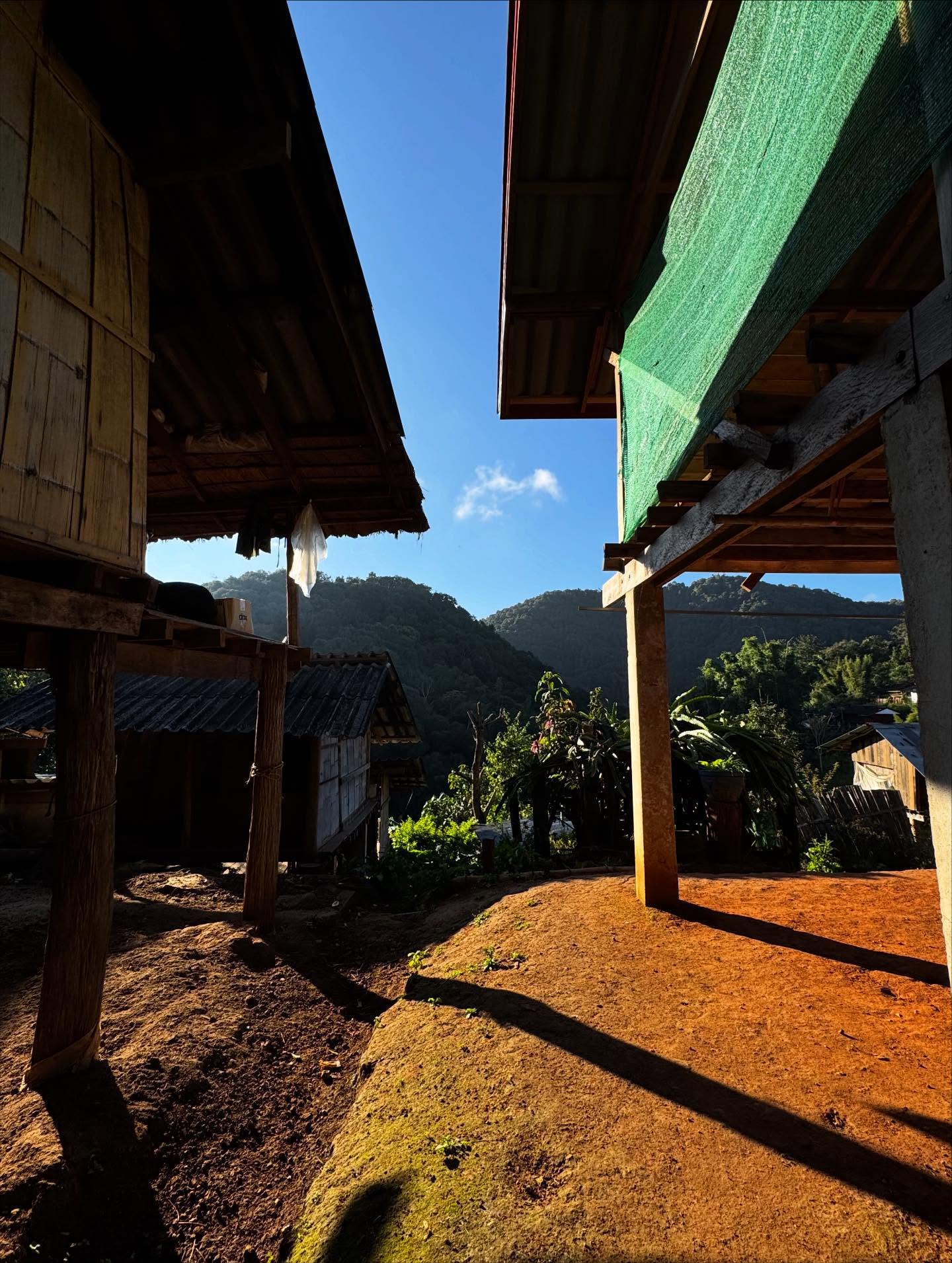 คารีสา สปริงเก็ตต์