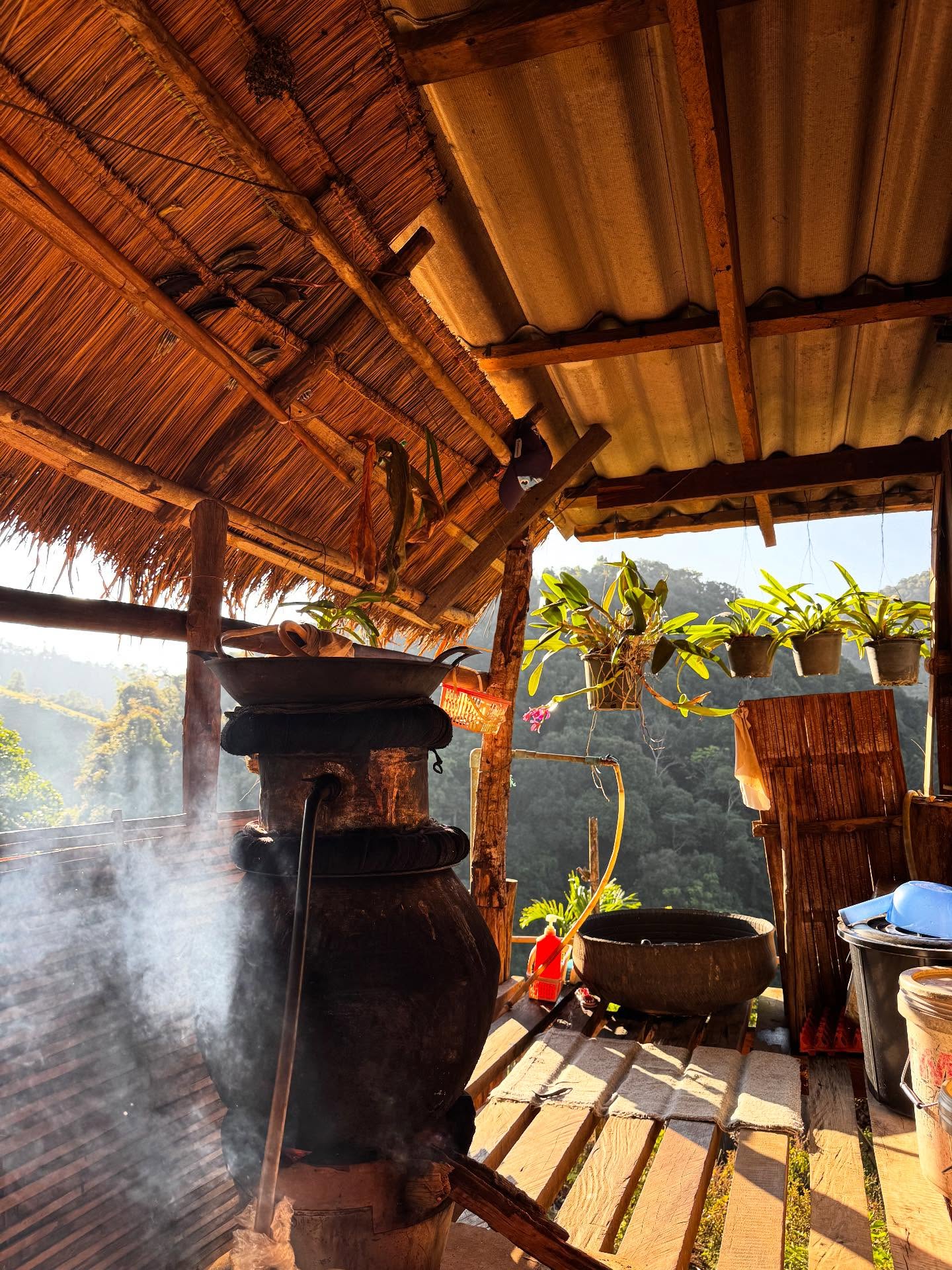 คารีสา สปริงเก็ตต์