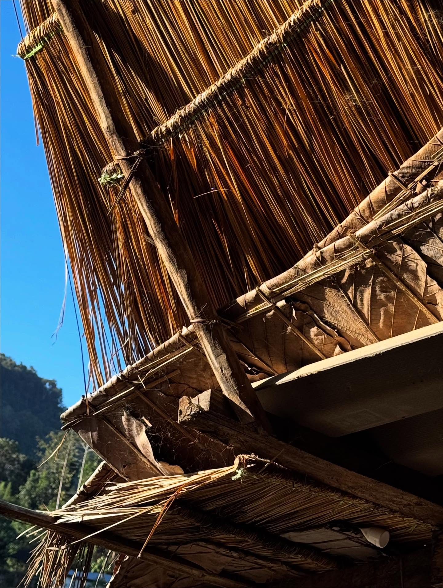 คารีสา สปริงเก็ตต์