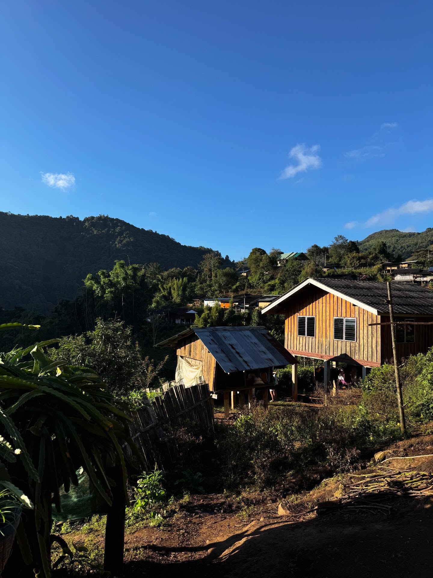 คารีสา สปริงเก็ตต์