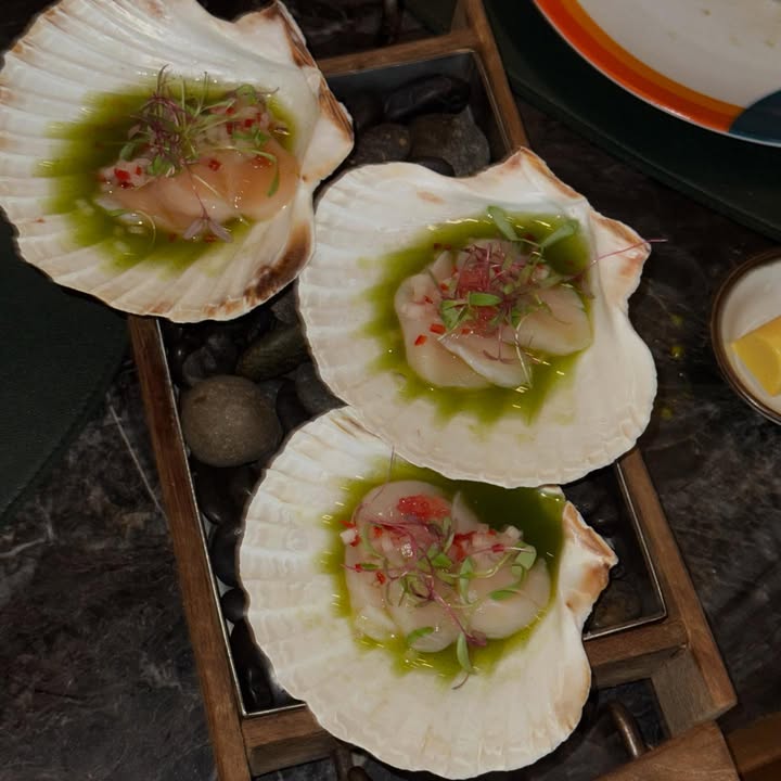 คารีสา สปริงเก็ตต์