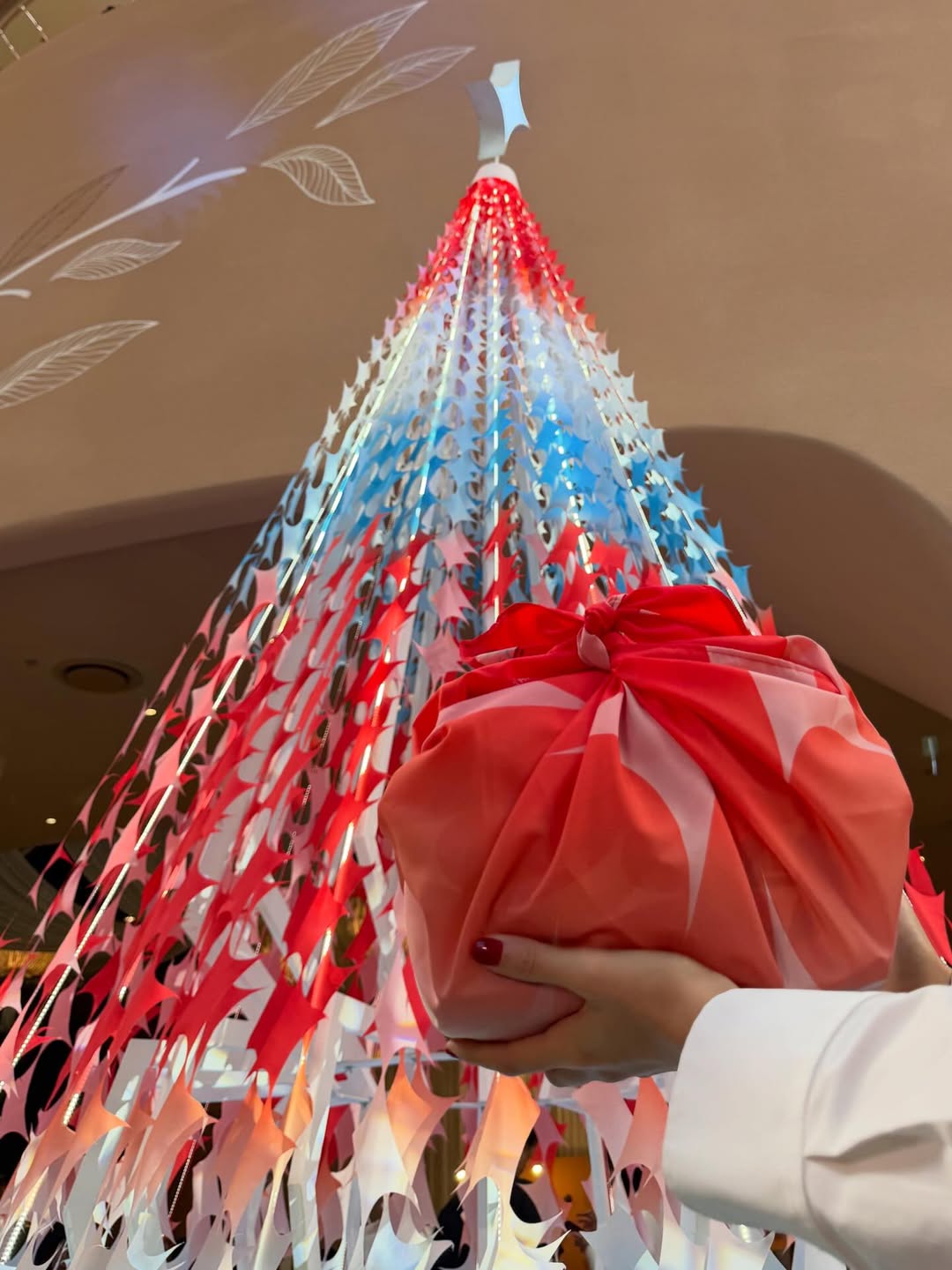 คารีสา สปริงเก็ตต์