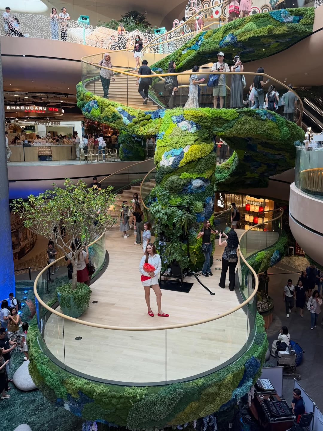 คารีสา สปริงเก็ตต์