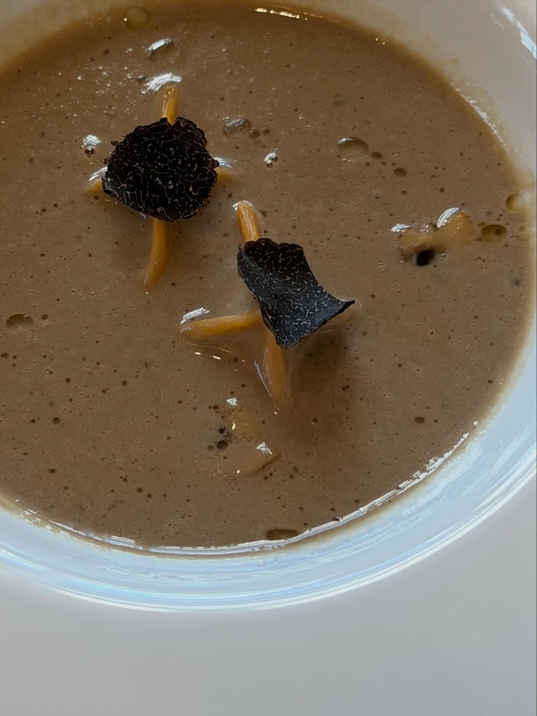 คารีสา สปริงเก็ตต์