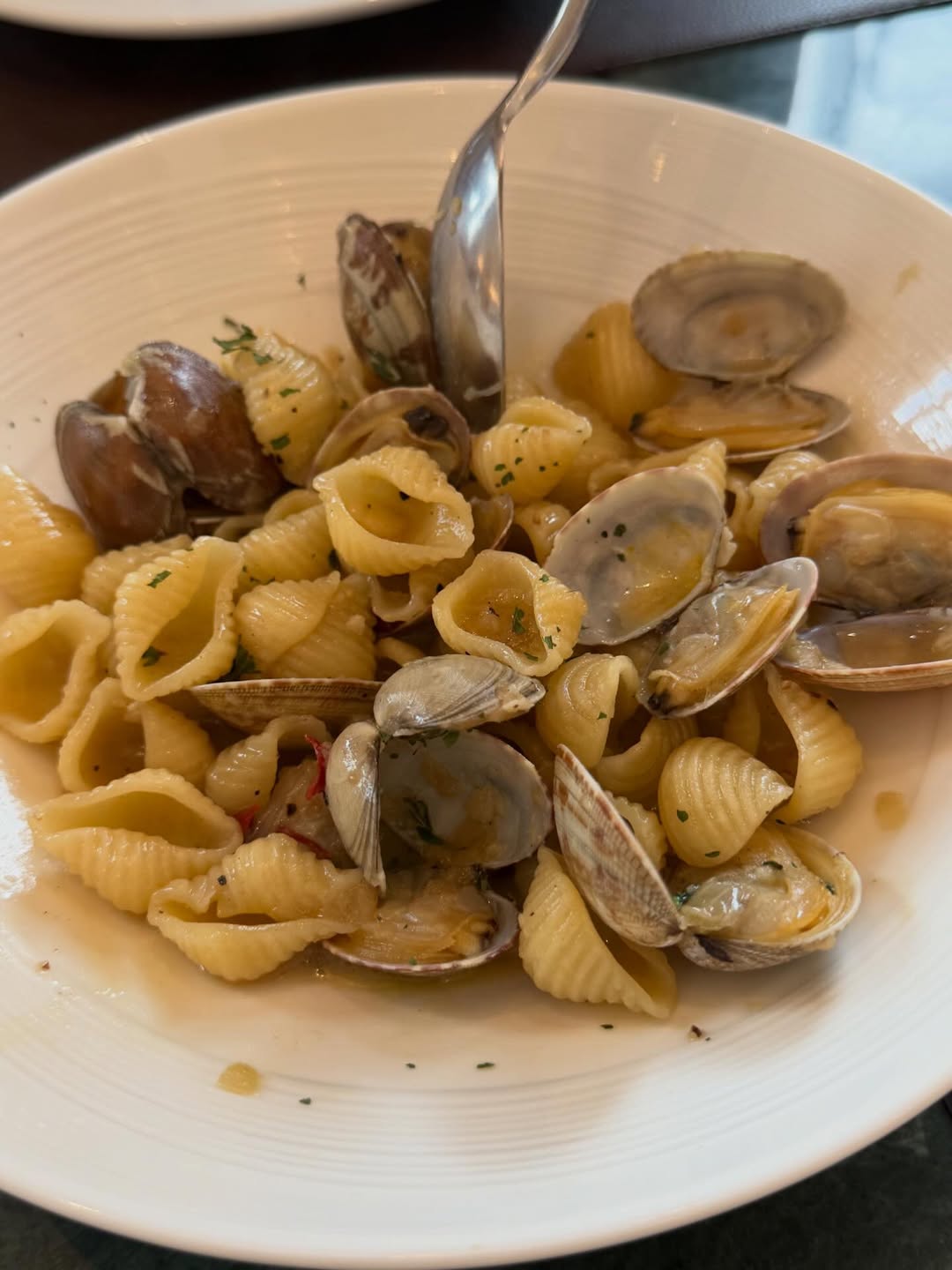 คารีสา สปริงเก็ตต์