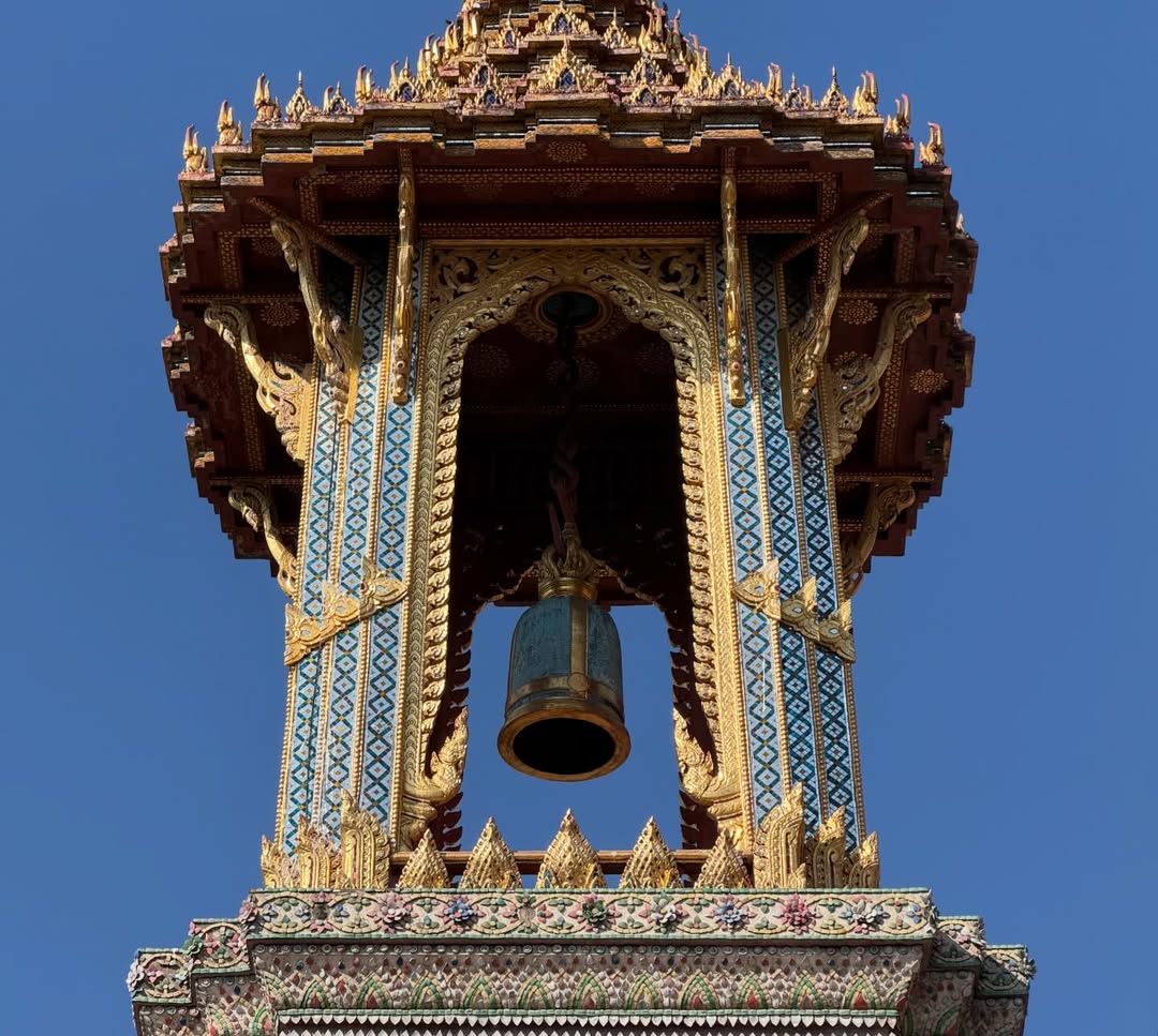 คารีสา สปริงเก็ตต์