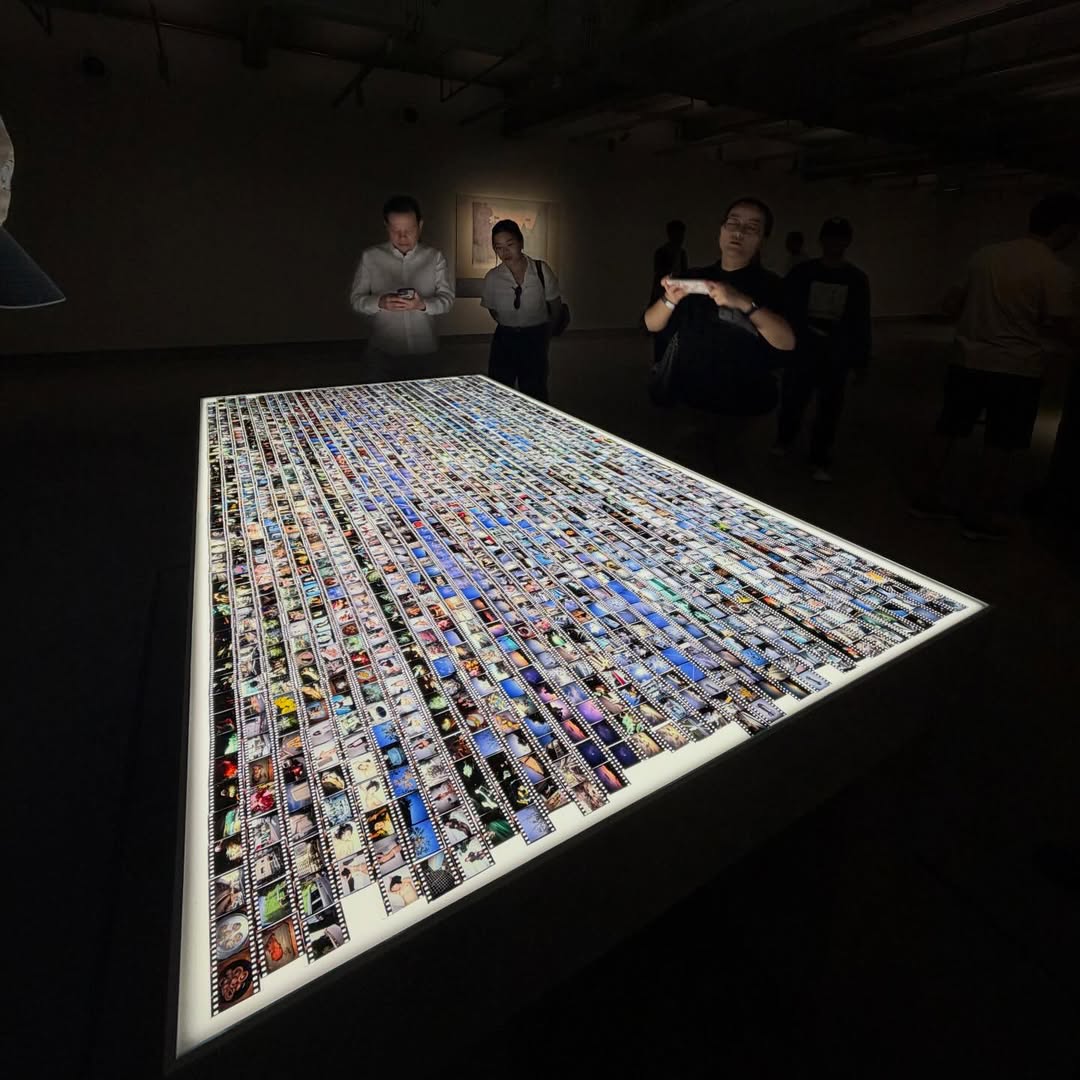 คารีสา สปริงเก็ตต์