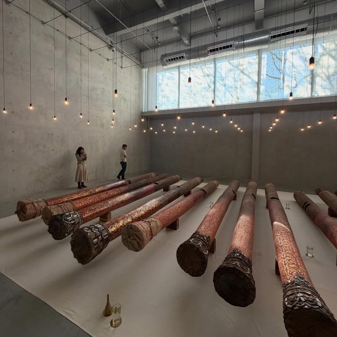 คารีสา สปริงเก็ตต์