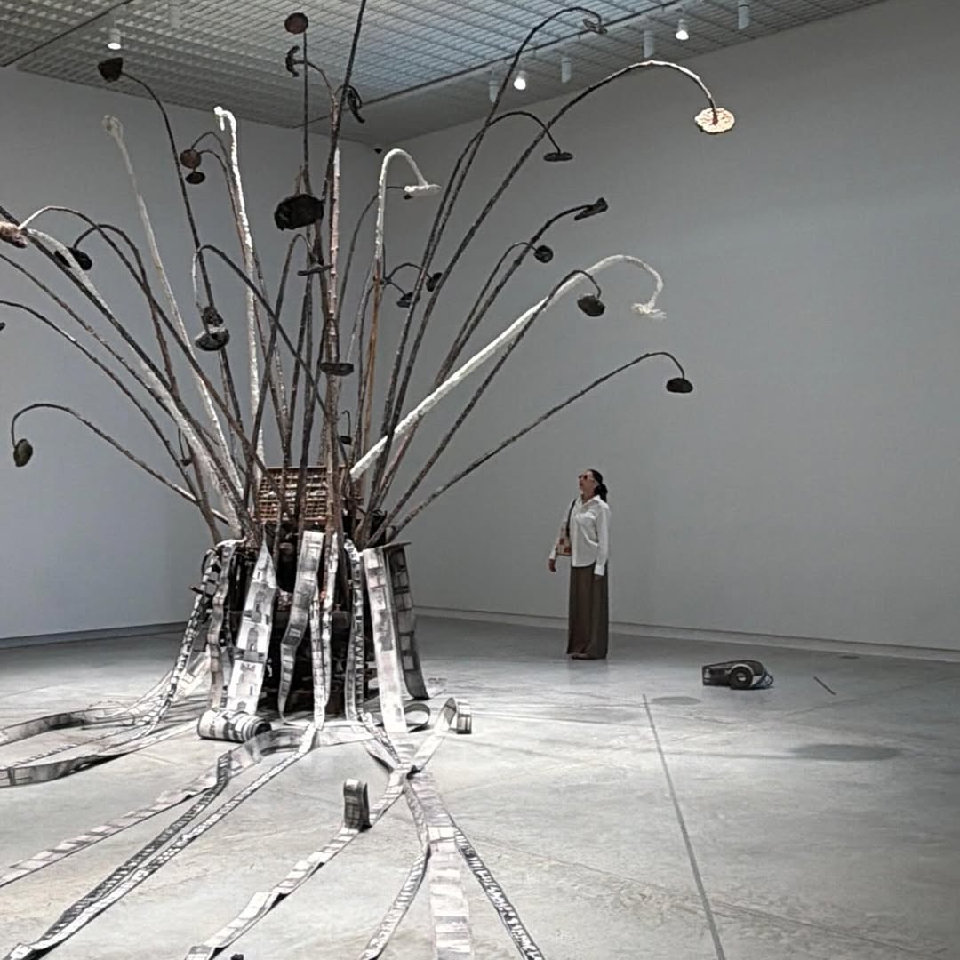 คารีสา สปริงเก็ตต์