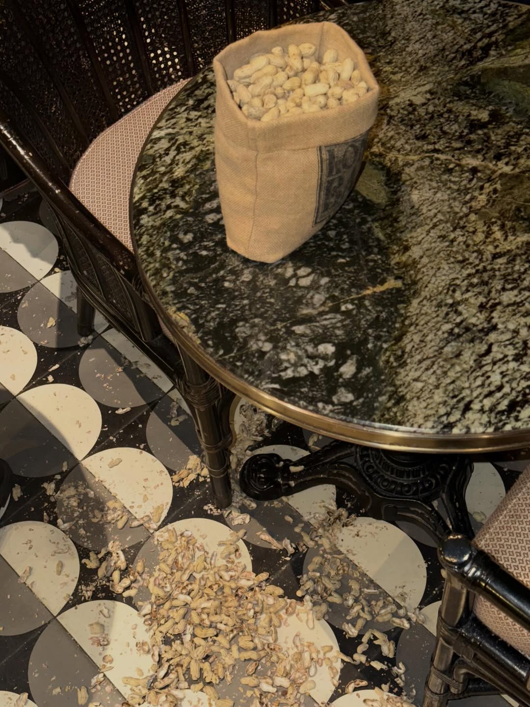 คารีสา สปริงเก็ตต์