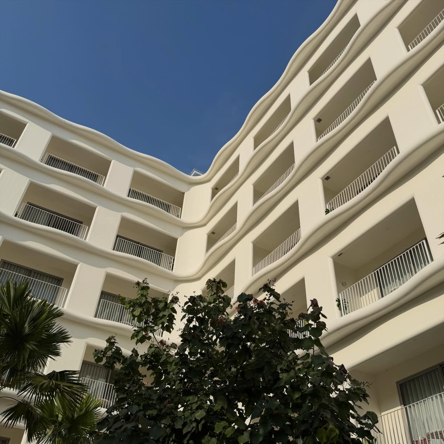 คารีสา สปริงเก็ตต์