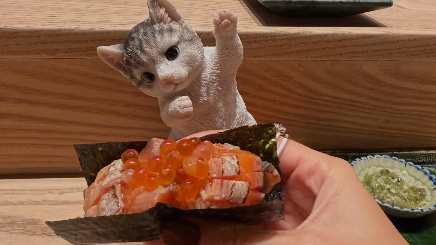 คารีสา สปริงเก็ตต์