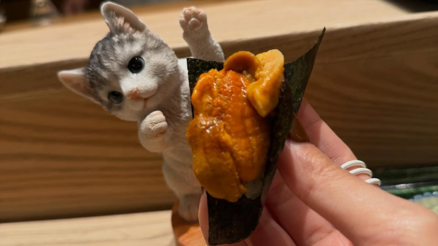 คารีสา สปริงเก็ตต์