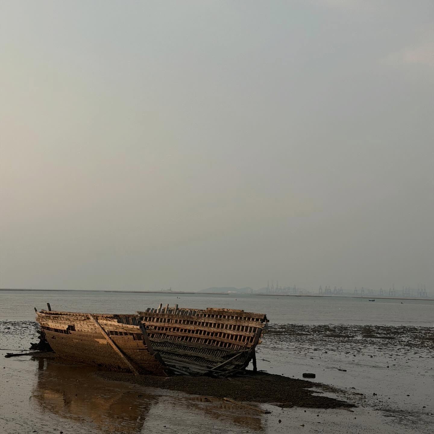 คารีสา สปริงเก็ตต์