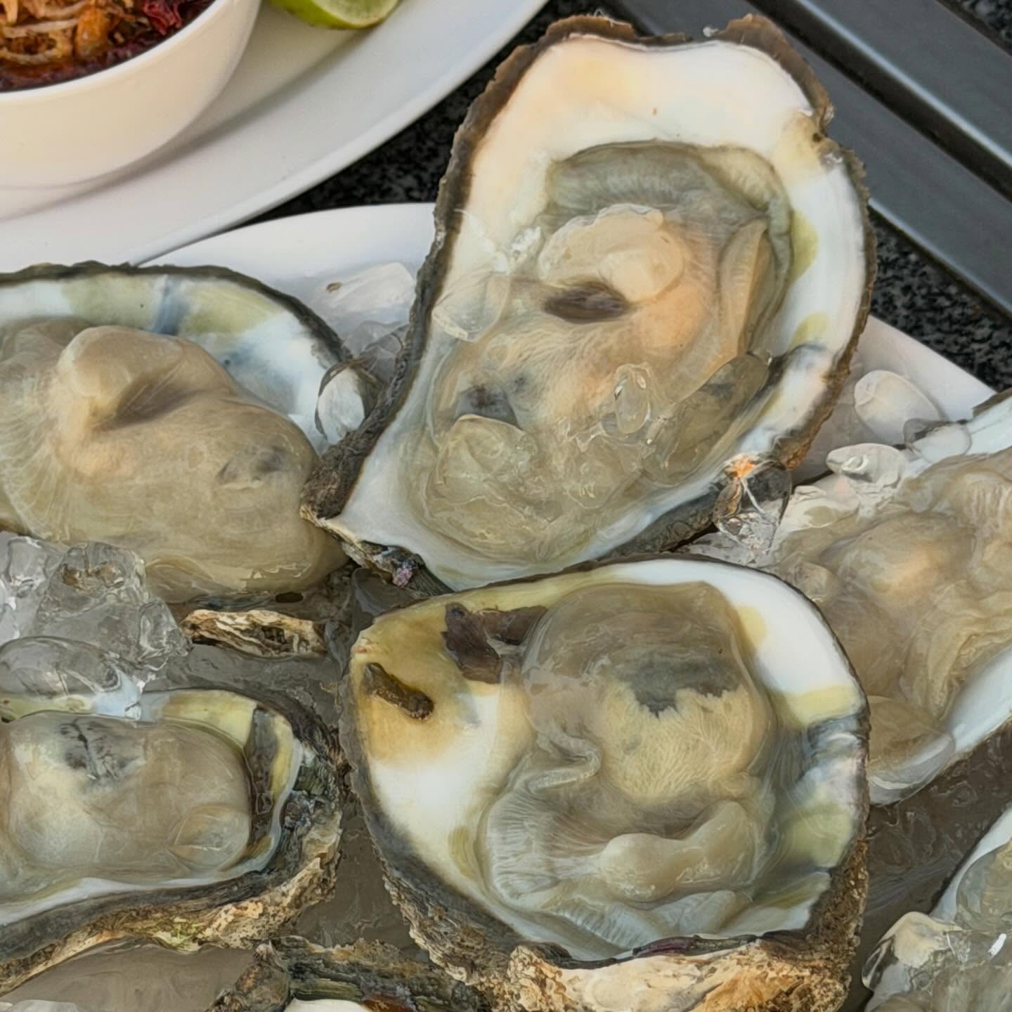 คารีสา สปริงเก็ตต์