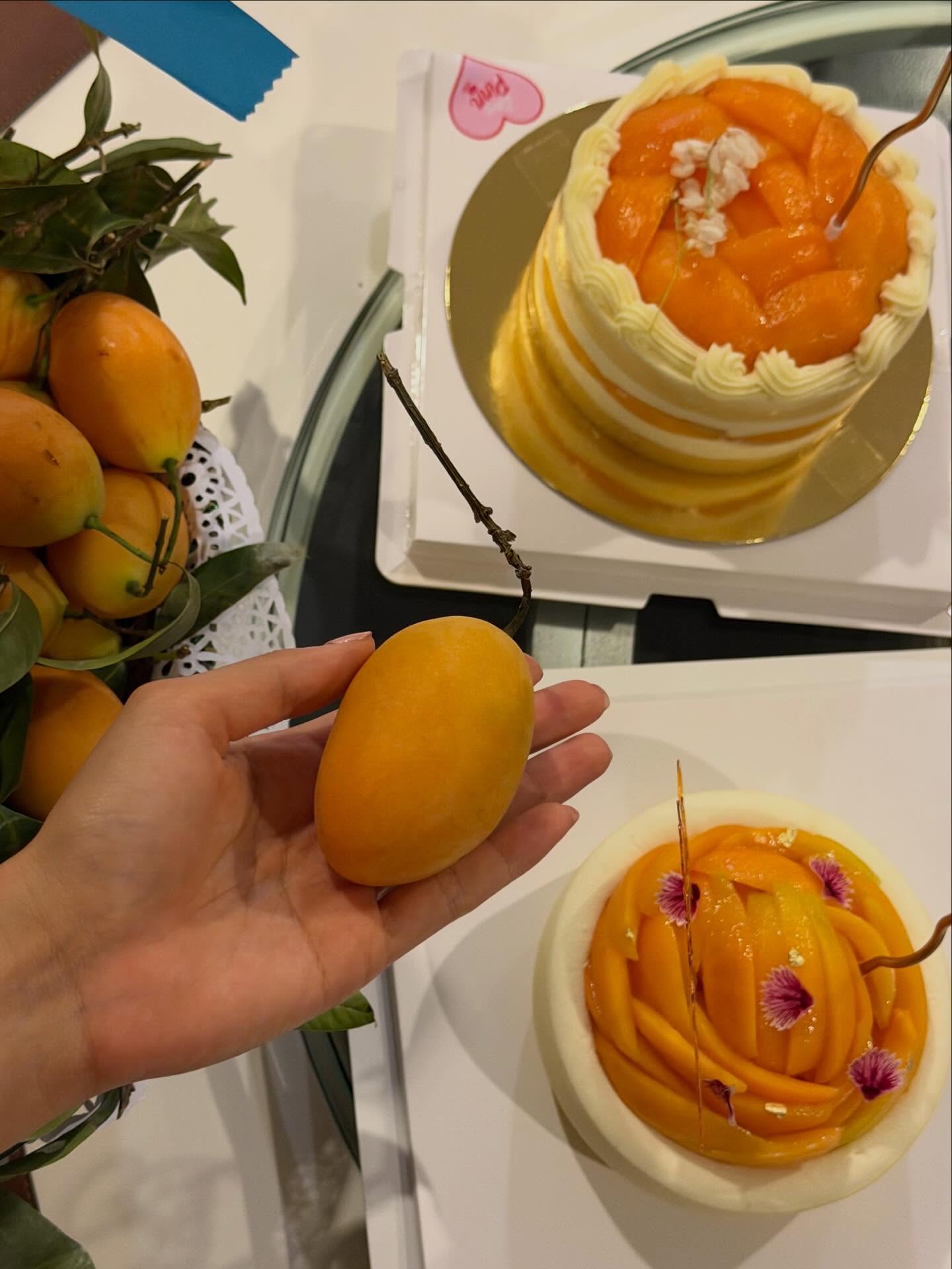 คารีสา สปริงเก็ตต์