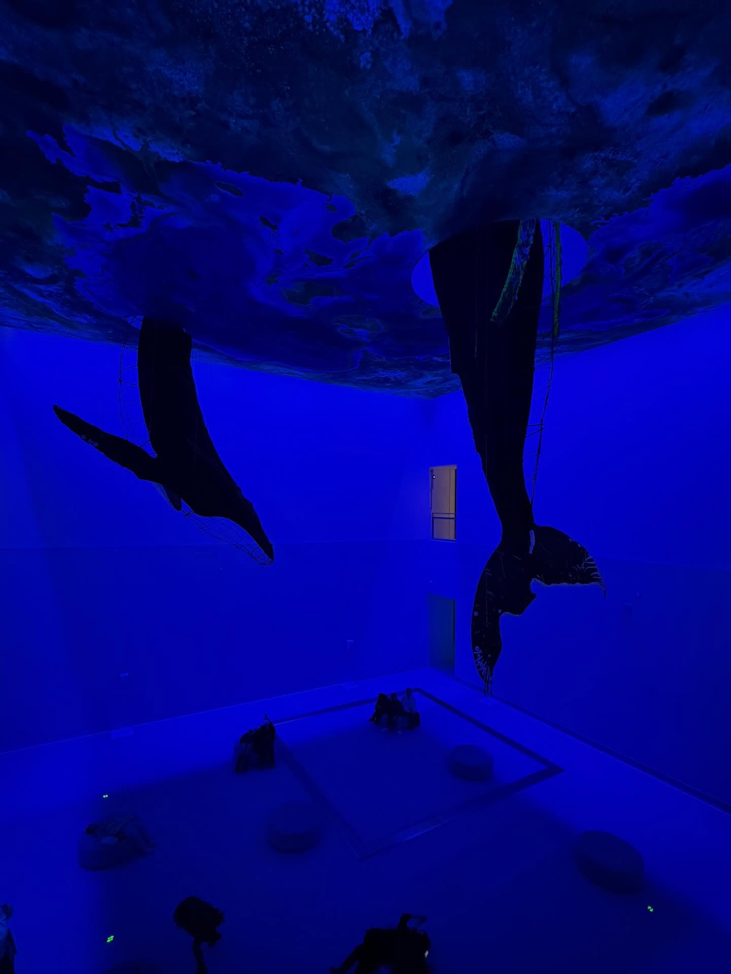 คารีสา สปริงเก็ตต์