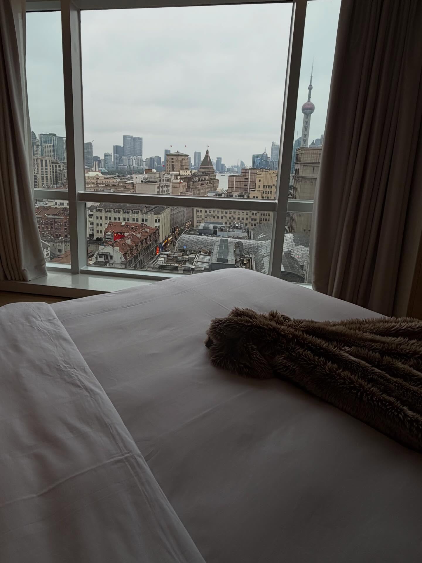 คารีสา สปริงเก็ตต์