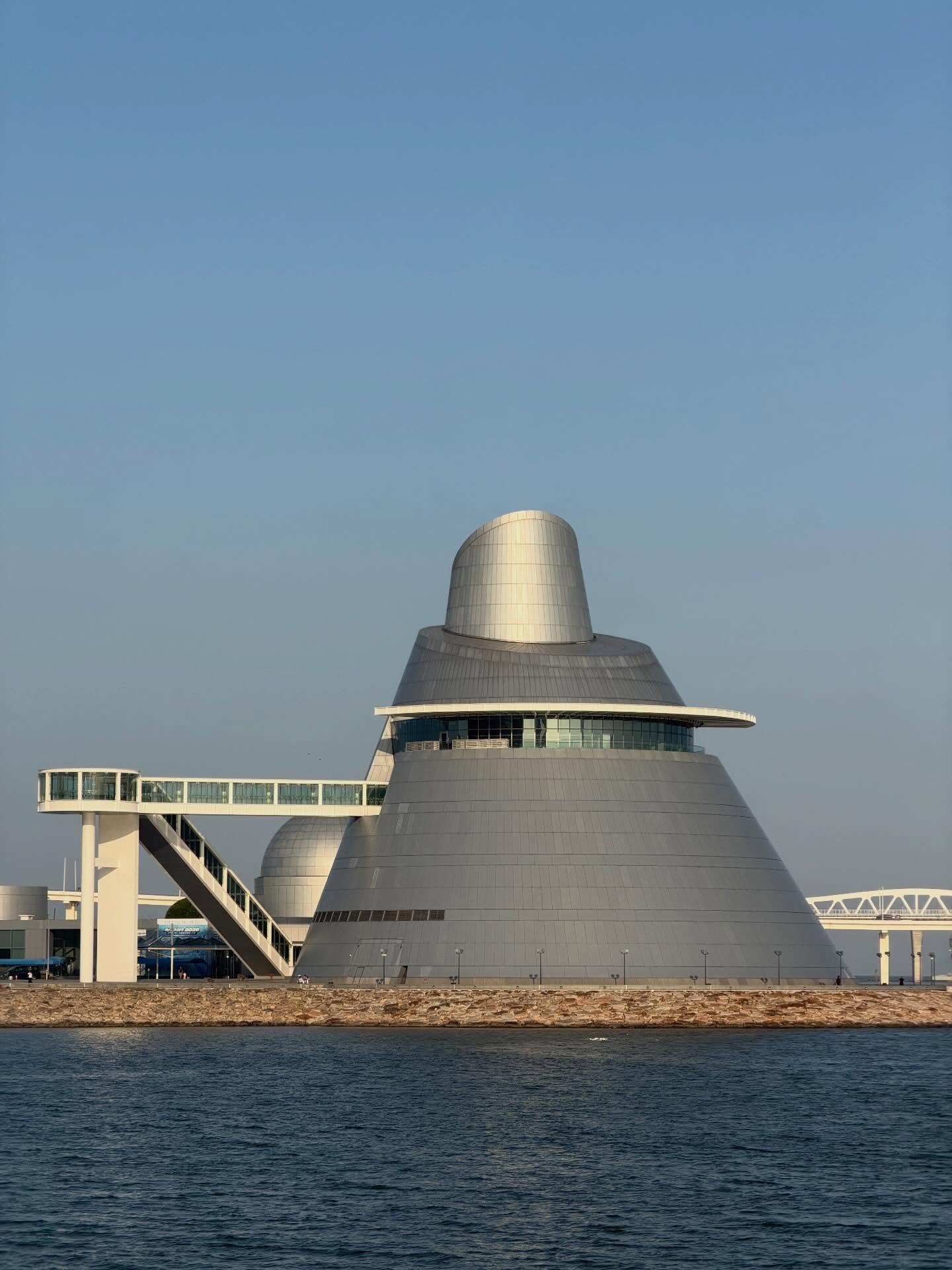 คารีสา สปริงเก็ตต์