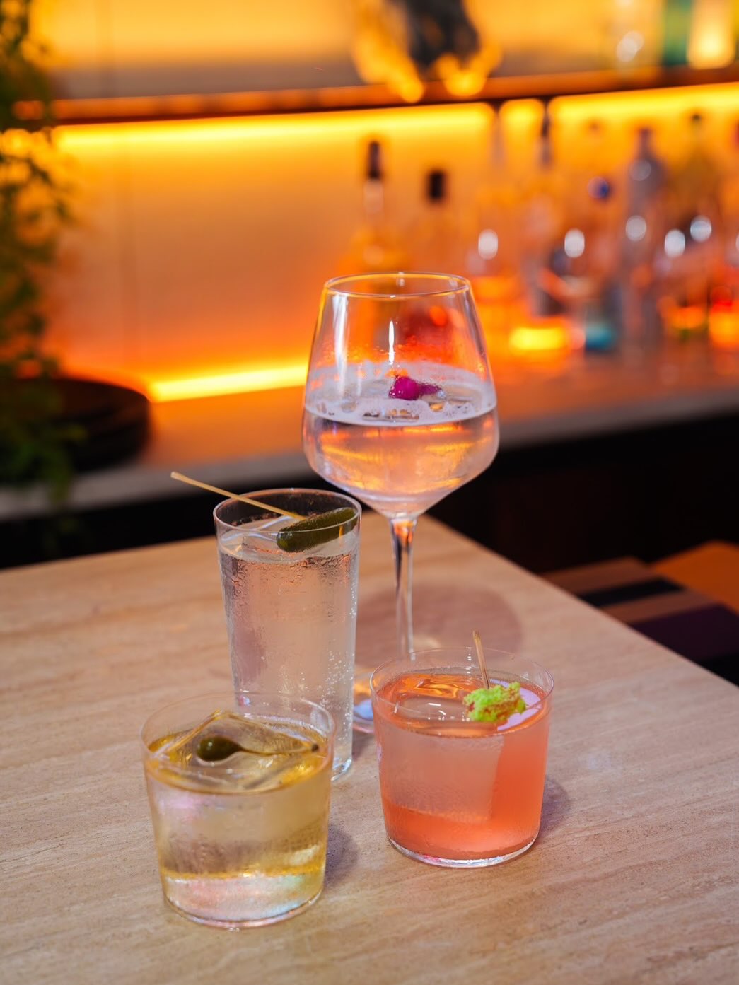 คารีสา สปริงเก็ตต์