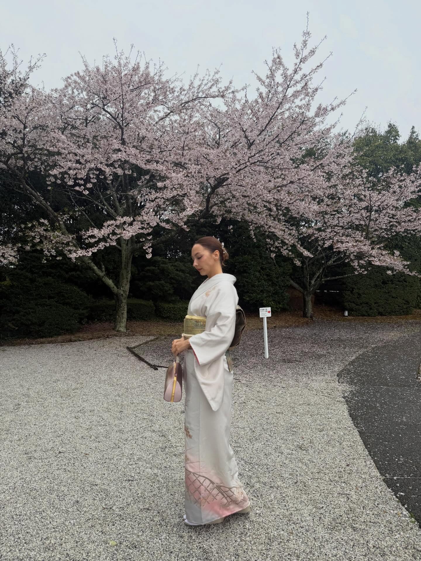 คารีสา สปริงเก็ตต์