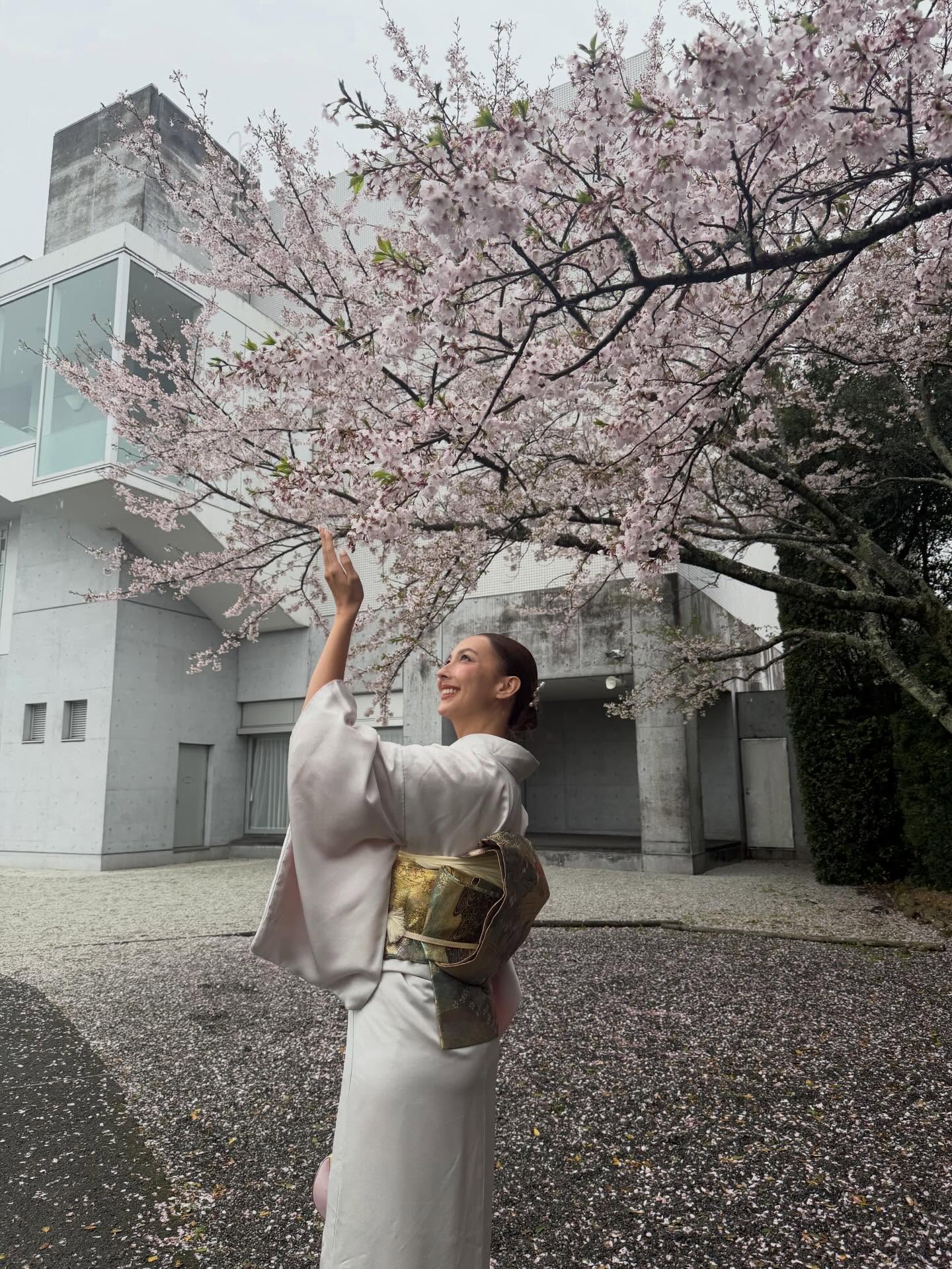 คารีสา สปริงเก็ตต์