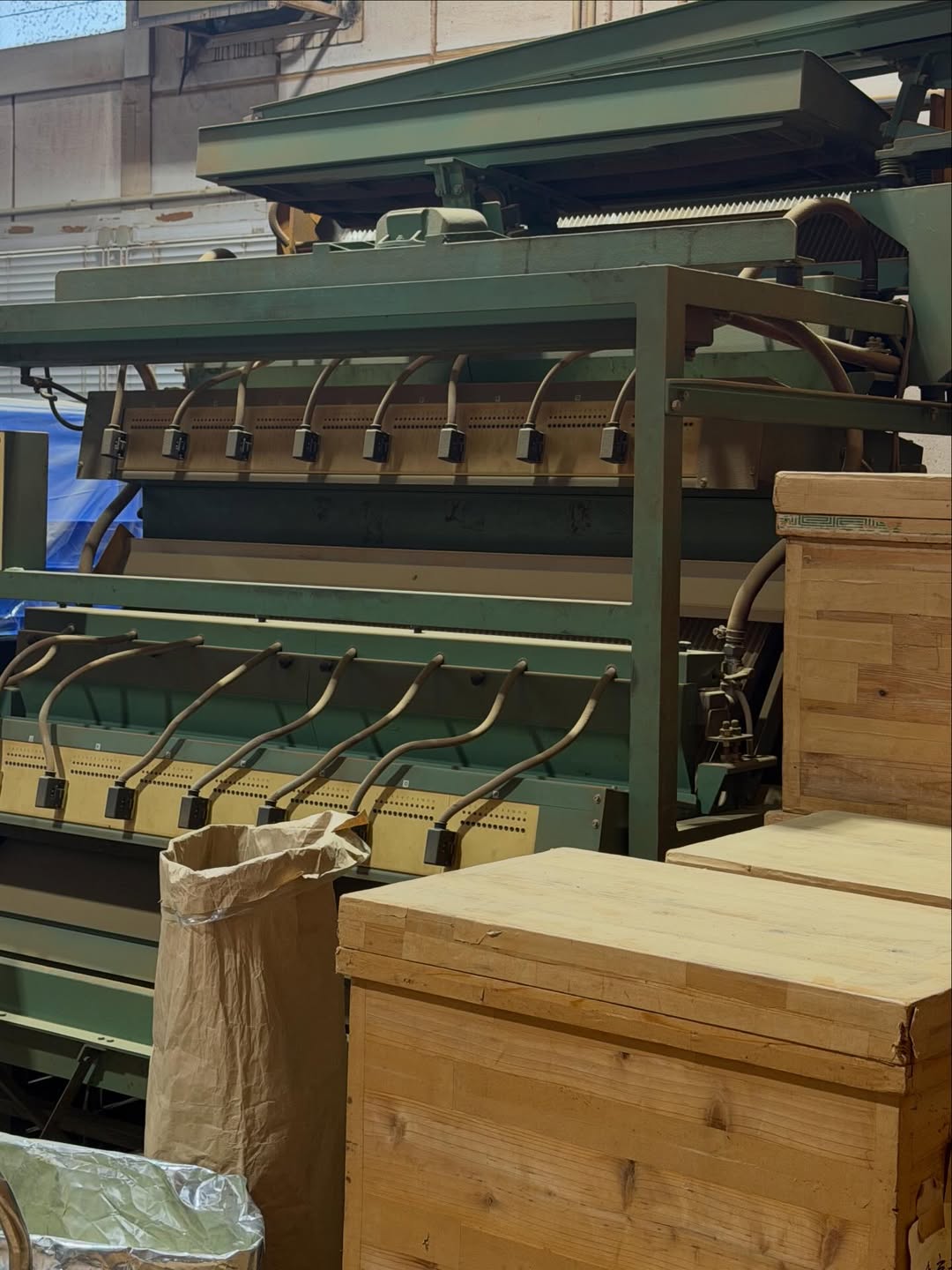 คารีสา สปริงเก็ตต์