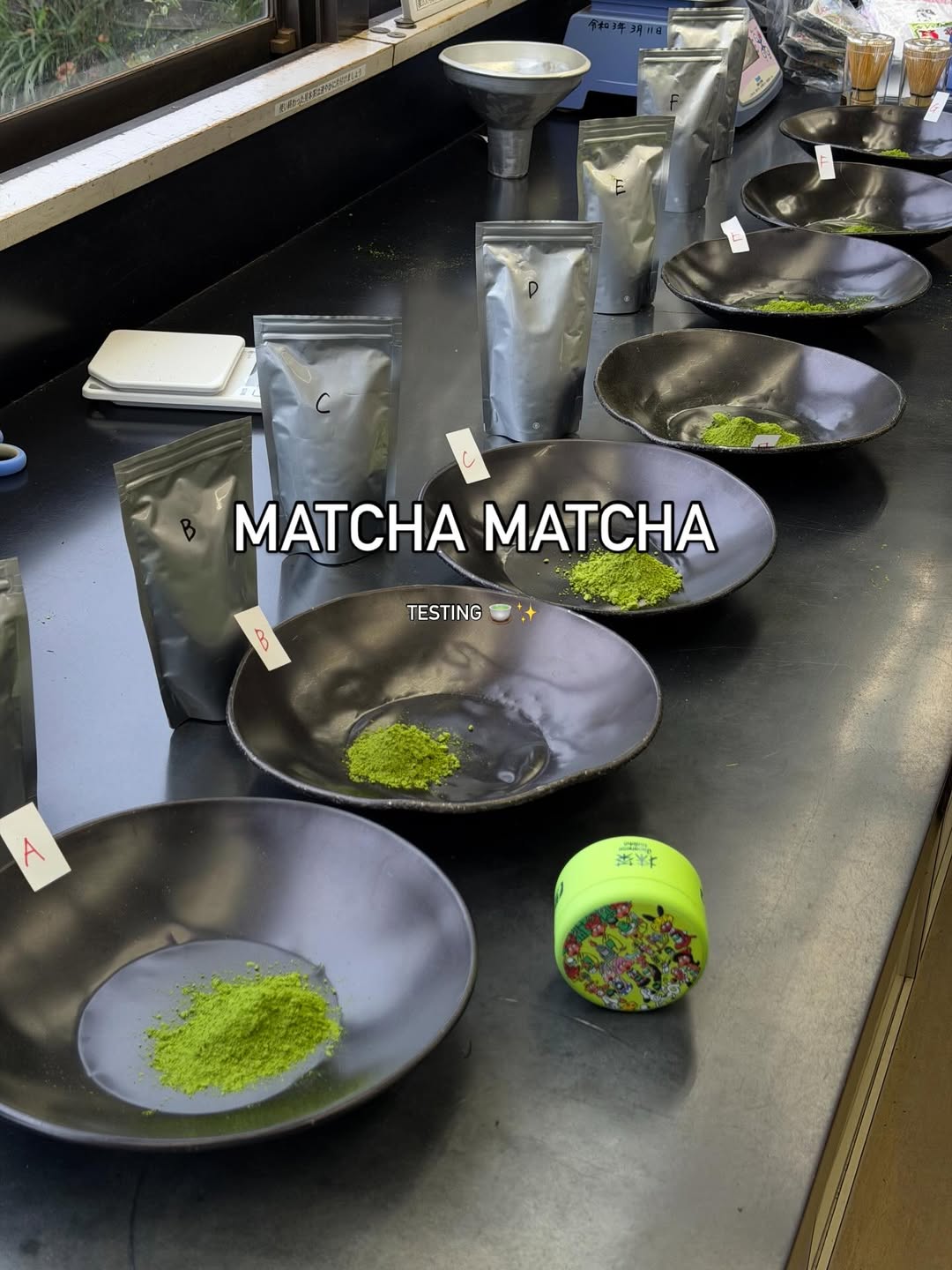 คารีสา สปริงเก็ตต์