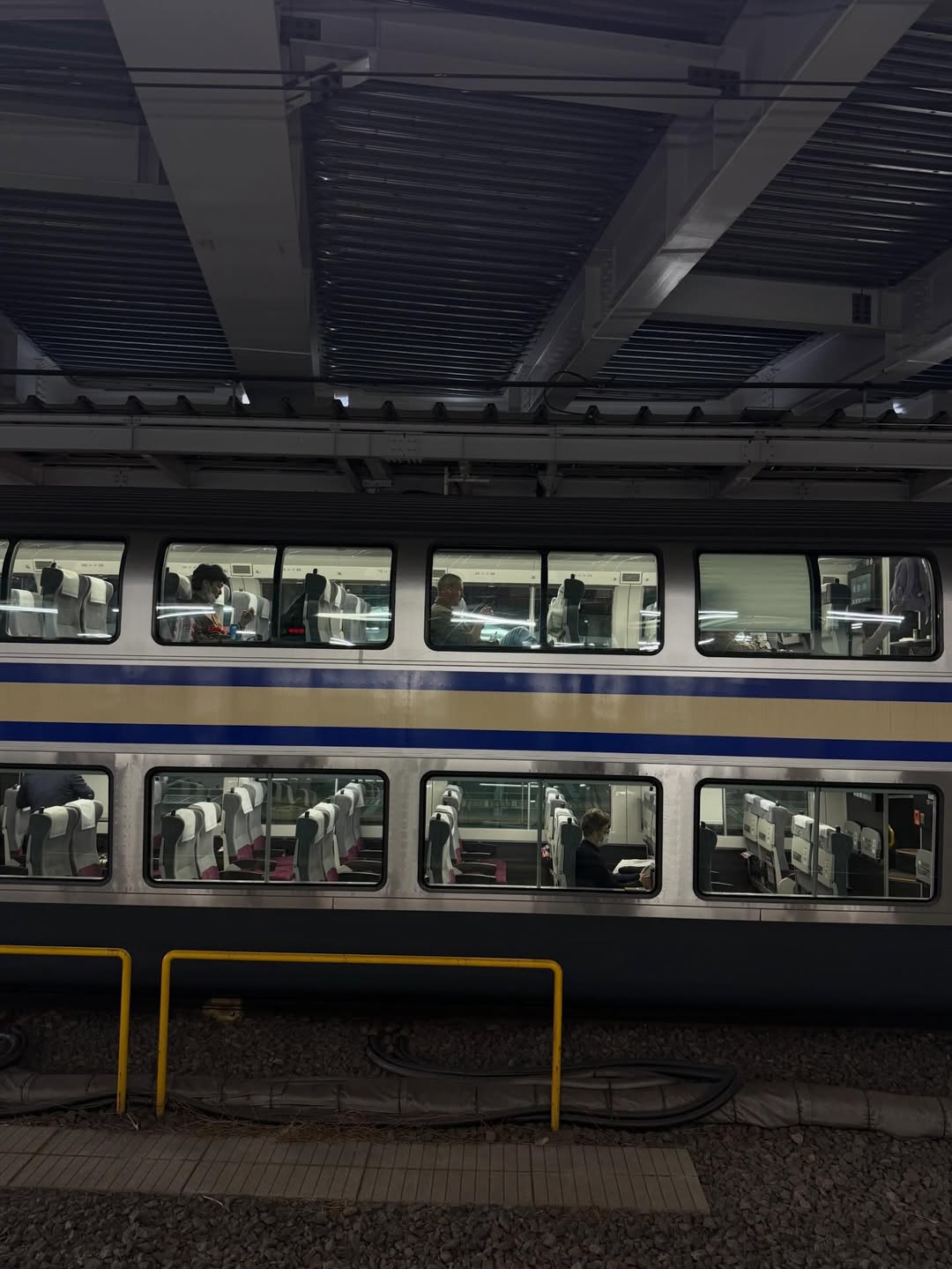 คารีสา สปริงเก็ตต์