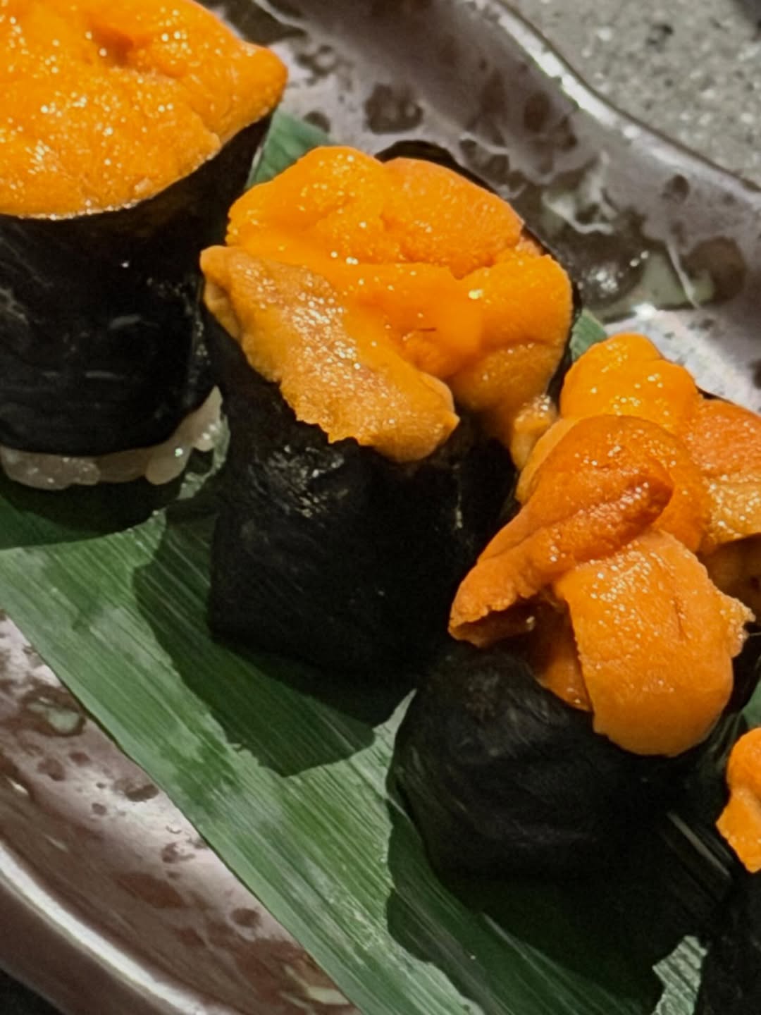 คารีสา สปริงเก็ตต์