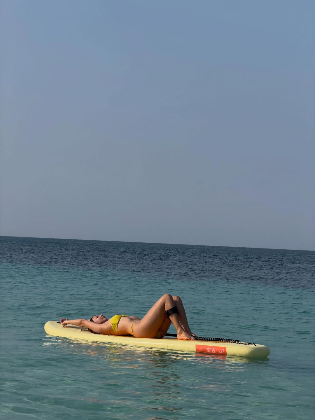 คารีสา สปริงเก็ตต์