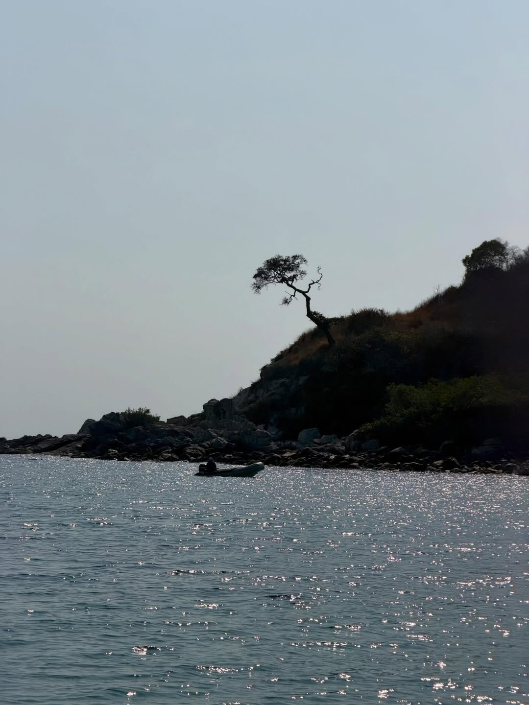 คารีสา สปริงเก็ตต์