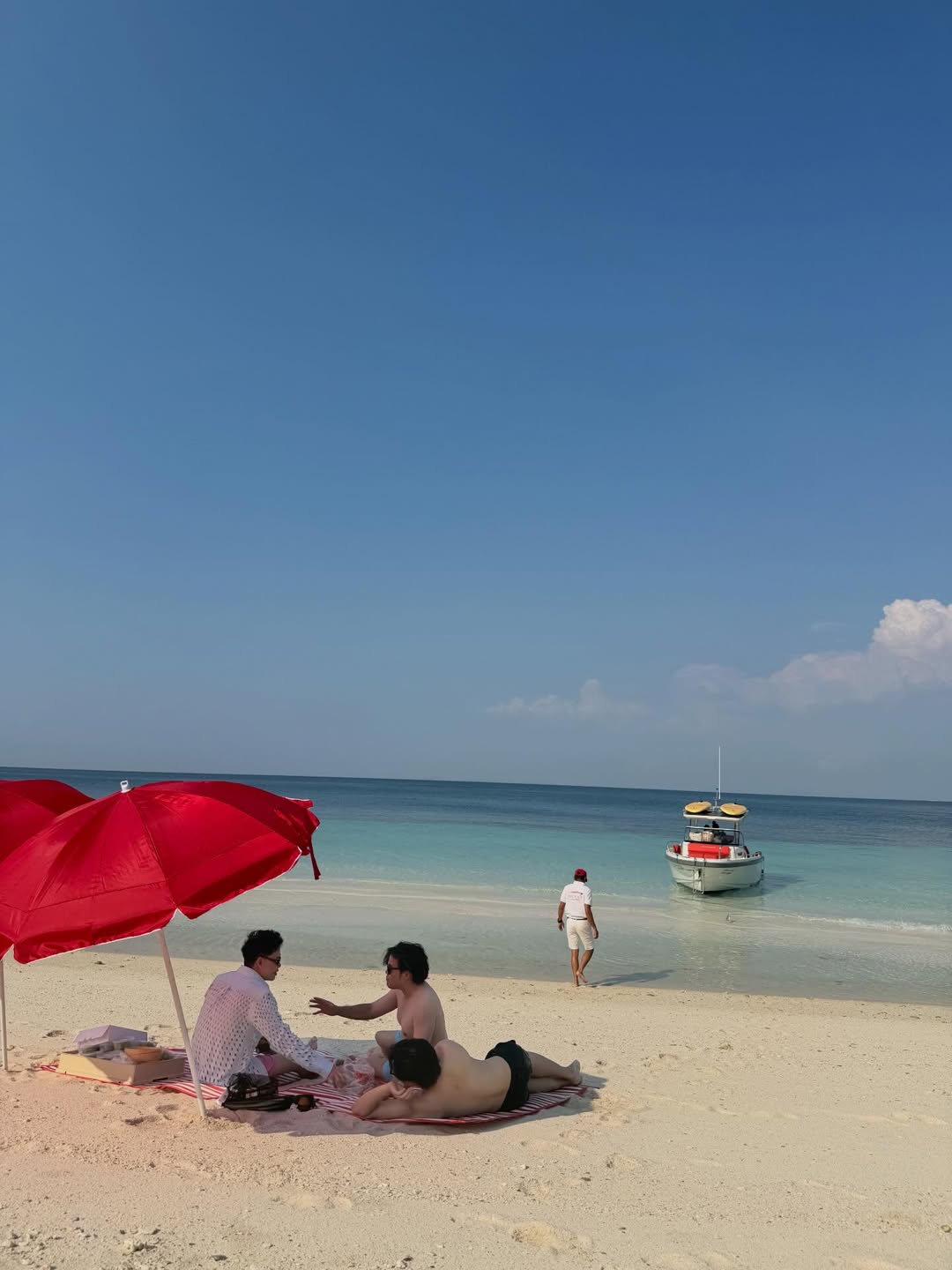 คารีสา สปริงเก็ตต์